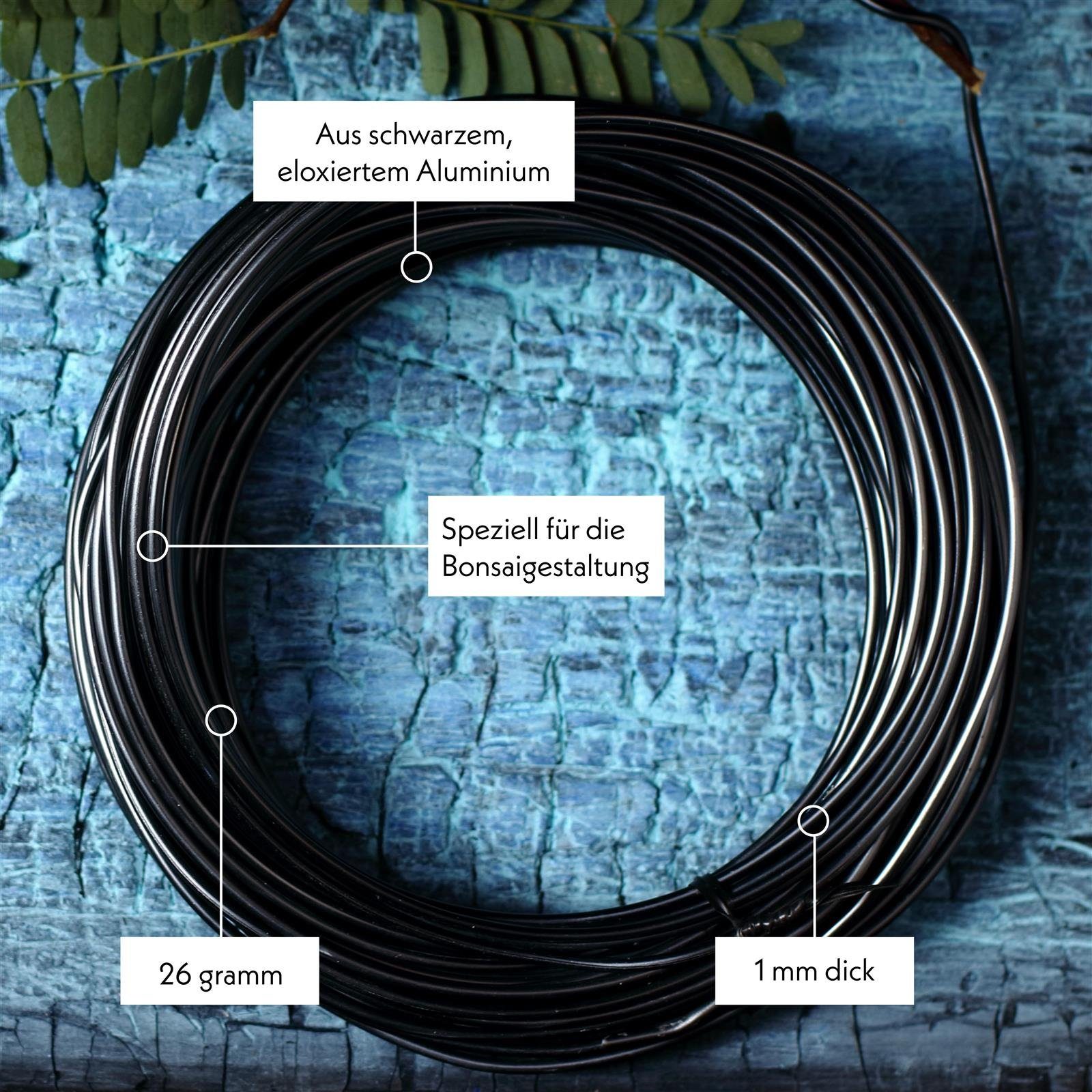 HappySeed Basteldraht 10m Bonsai & Bastel Draht aus eloxiertem Aluminium, Schwarz - (1 mm)