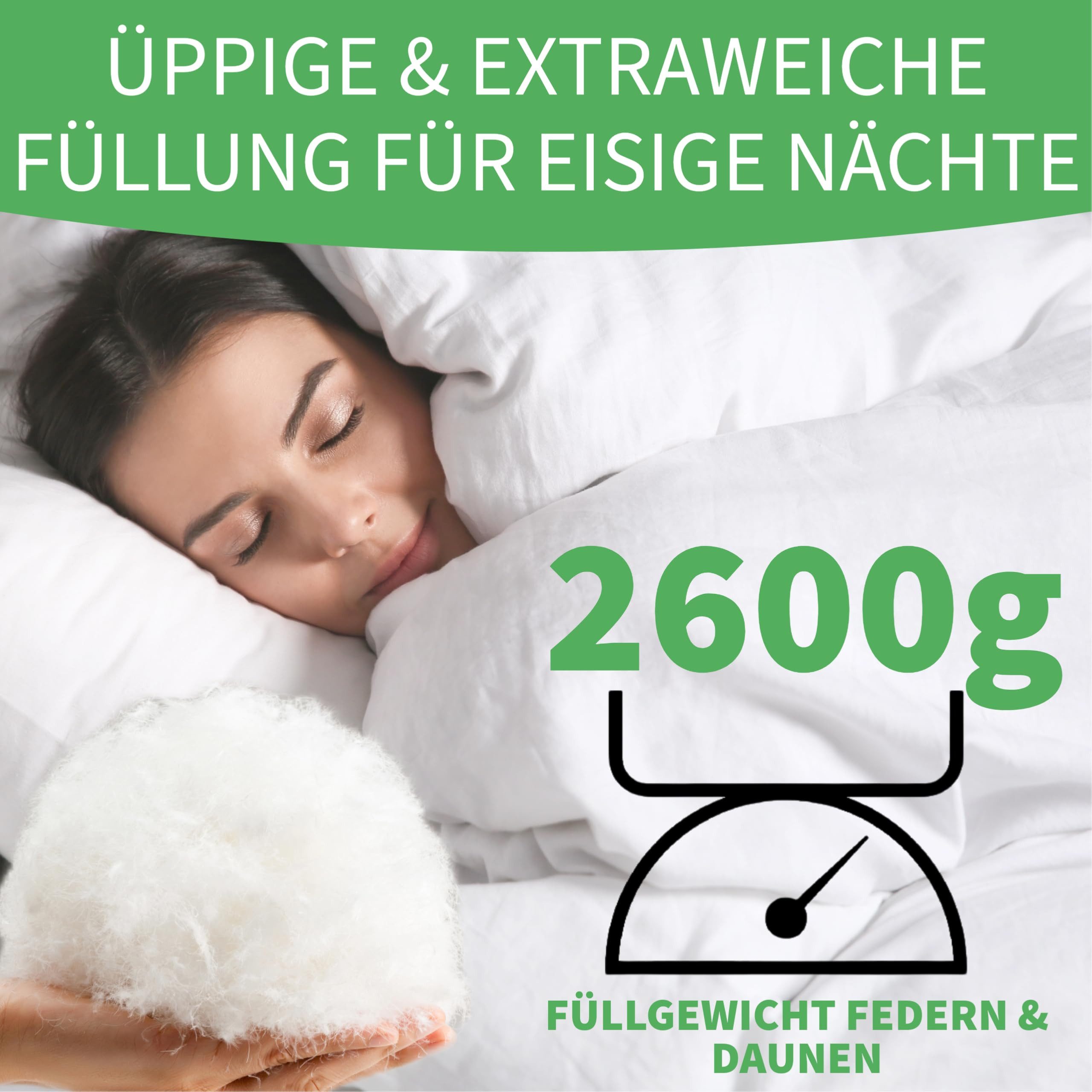 Welldora Daunenbettdecke, Komfort Allergiker Bettdecke Winter, günstig online kaufen