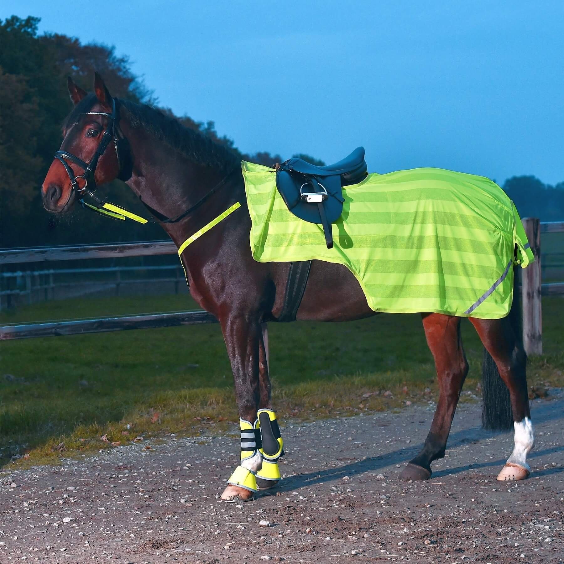BUSSE Ausreitdecke BUSSE Ausreitdecke REFLECTION