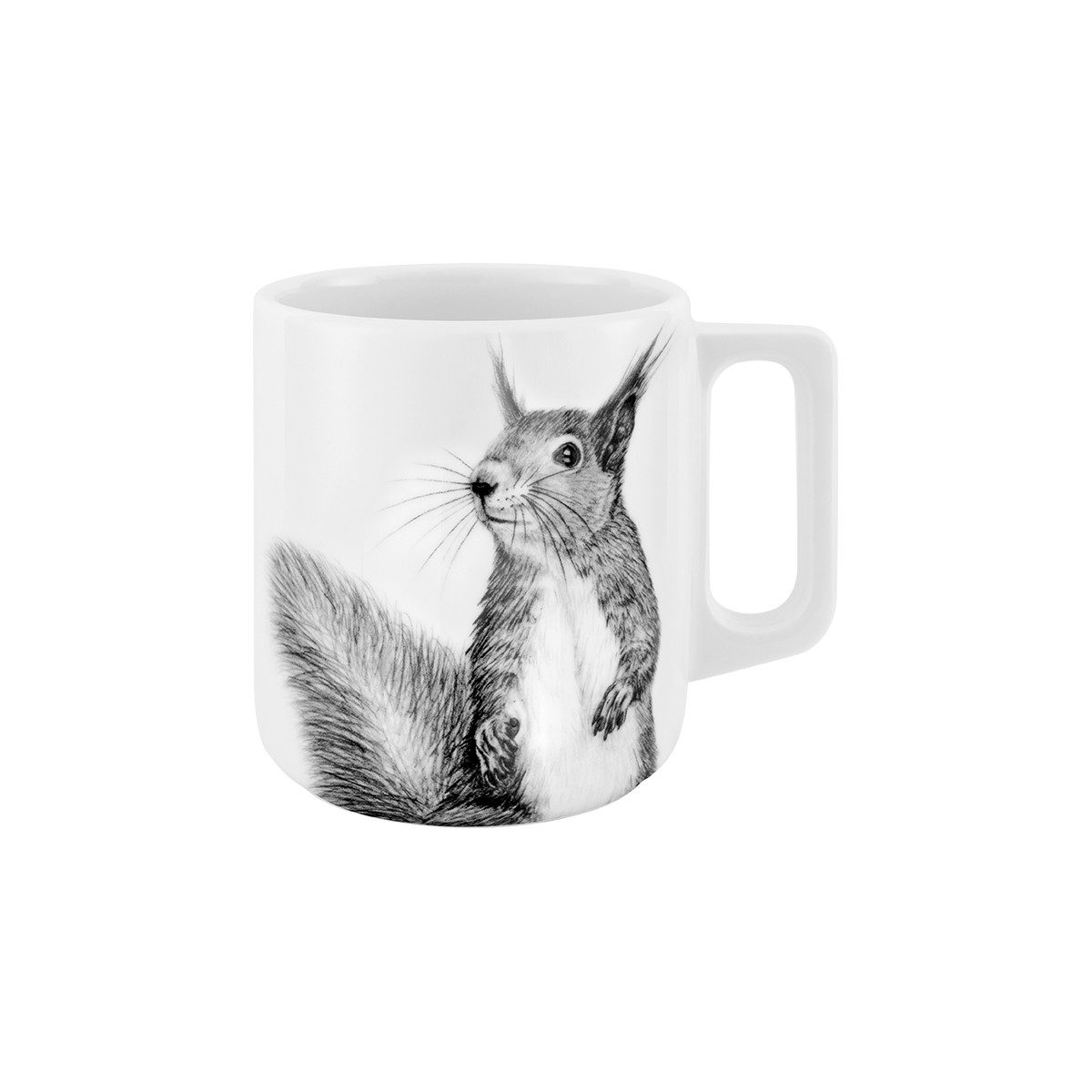 mittelpunkt. Tasse mit Henkel . Eichhörnchen