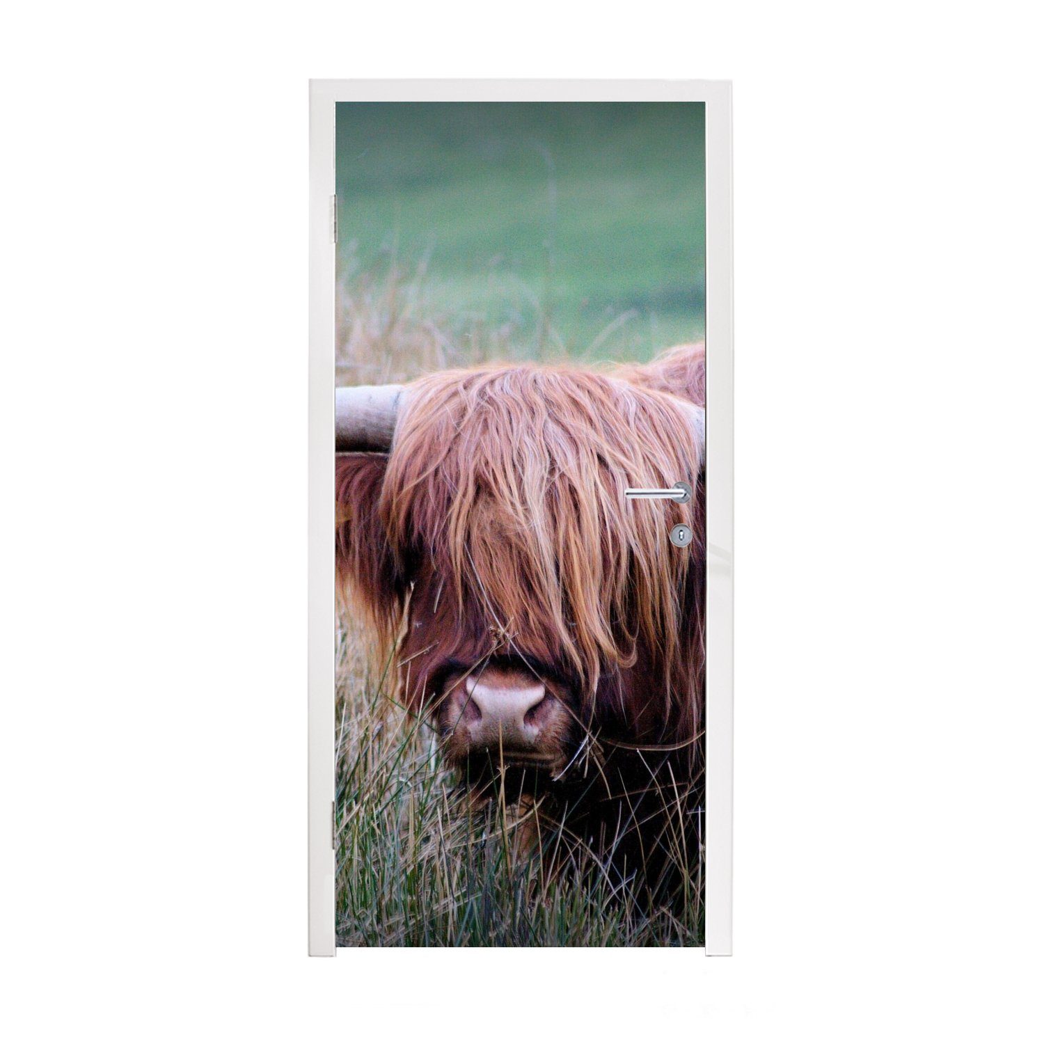MuchoWow Türtapete Schottischer Highlander - Hörner - Gras, Matt, bedruckt, (1 St), Fototapete für Tür, Türaufkleber, 75x205 cm | Türtapeten