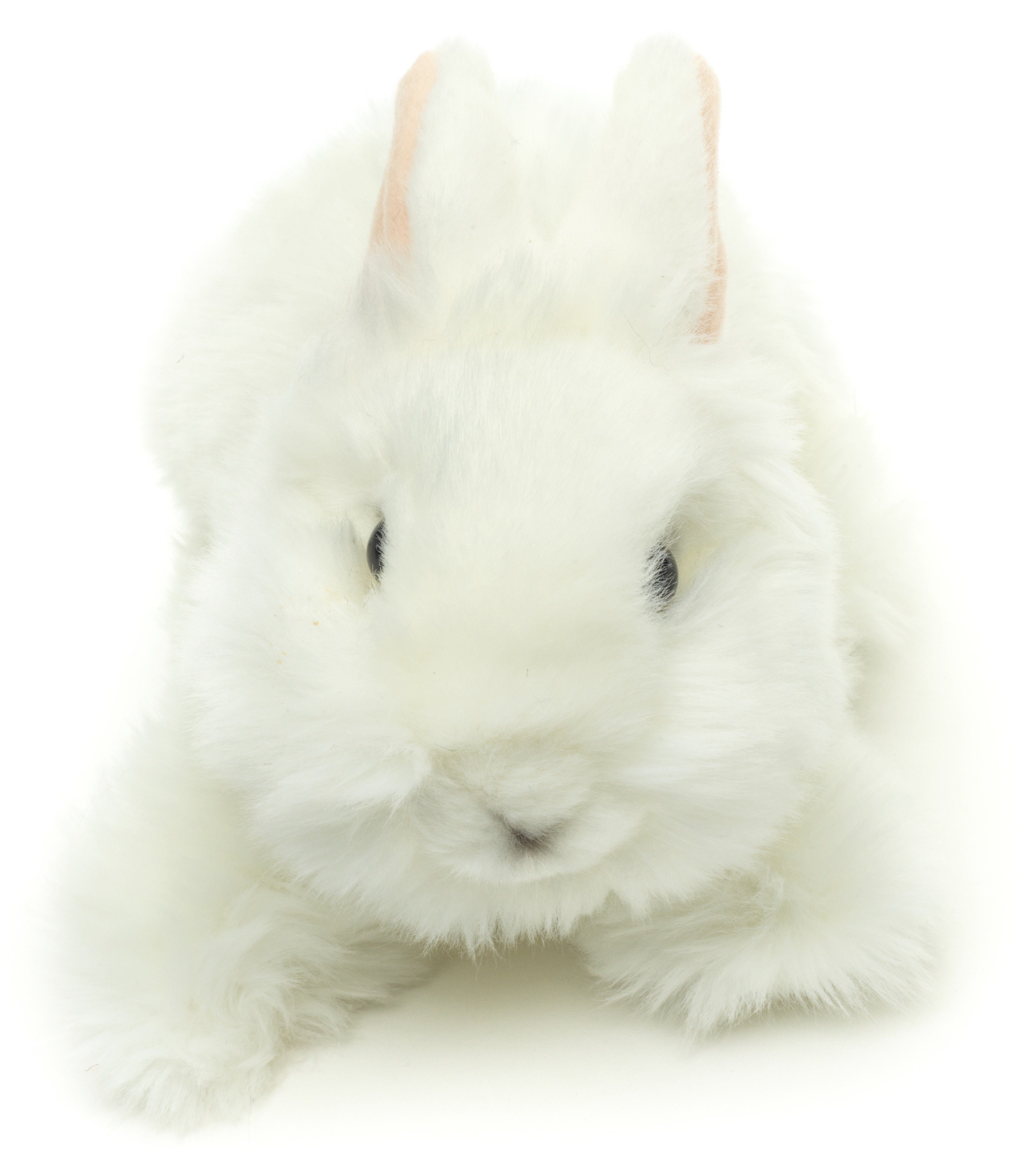 Füllmaterial Ohren Uni-Toys m.aufgestellten - Kuscheltier Hasen, zu cm recyceltes - 23 % Löwenkopf-Kaninchen 100 weiß verschiedene