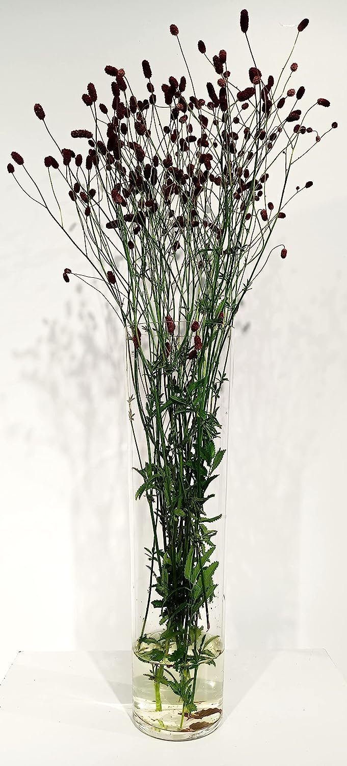 GlasArt Dekovase Glasvase Dekovase groß, konisch, günstig online kaufen