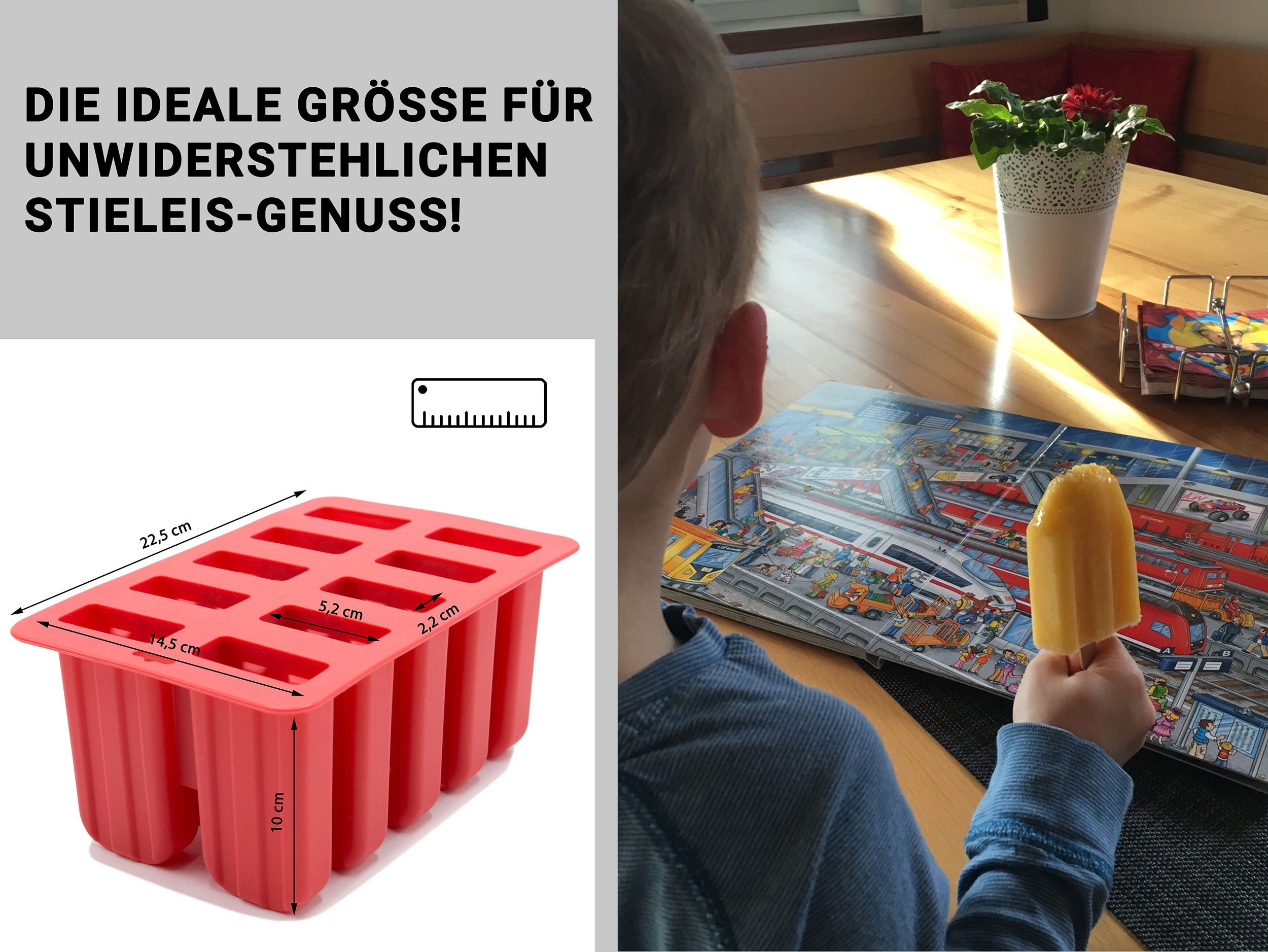 ZOLLNER24 Eisform, (12-tlg), für 10 Eis inkl. 10 Holzstäbchen