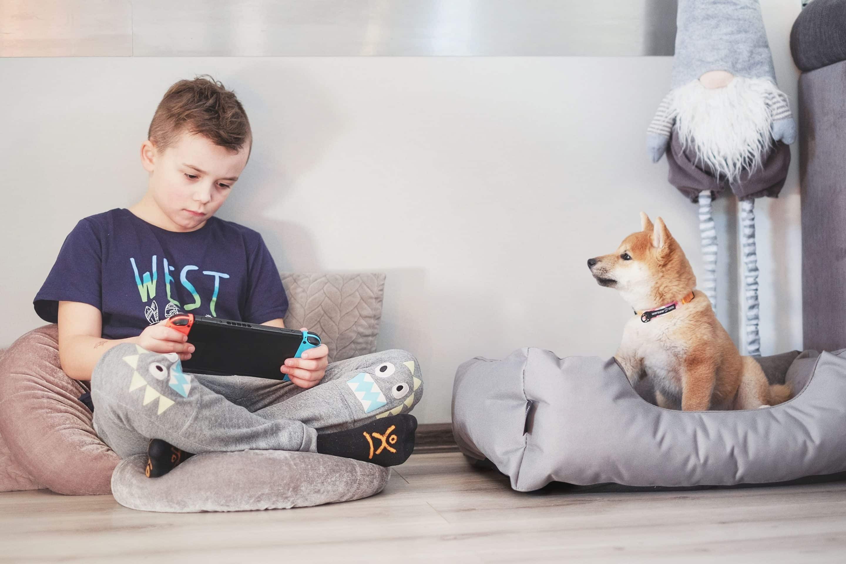 BedDog Tierbett Hundebett LUPI mit Rand, Bezug abnehmbar