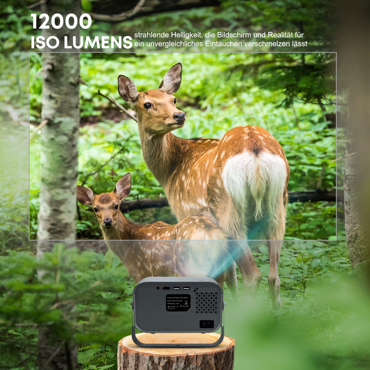 CkeyiN LCD-Beamer 4K 1080P Projektor unterstützt Netflix Youtube LCD-Beamer (12000 lm, 1280×720 px, Autofokus Beamer Augenschonender Projektor Wifi 2,4G 5G Android 11) schwarz