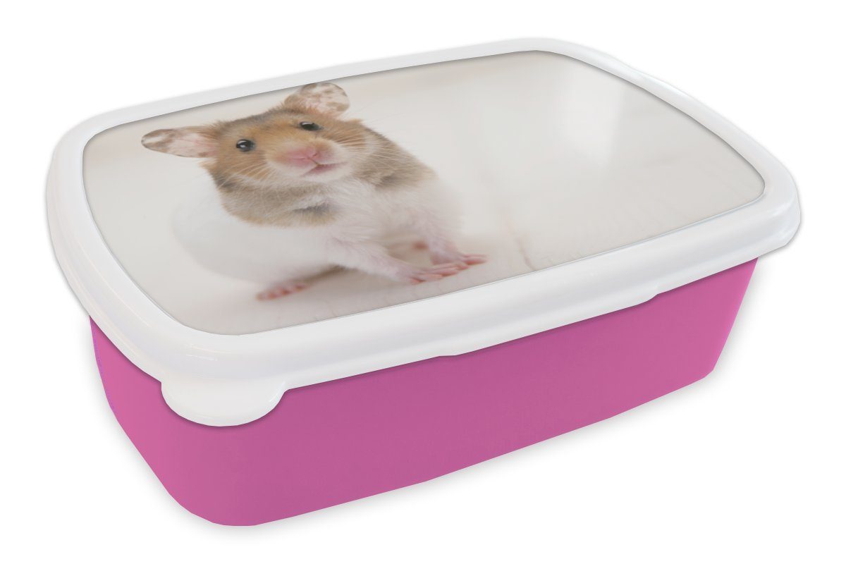 MuchoWow Lunchbox Stehender brauner und weißer Hamster, Kunststoff, (2-tlg), Brotbox für Erwachsene, Brotdose Kinder, Snackbox, Mädchen, Kunststoff rosa