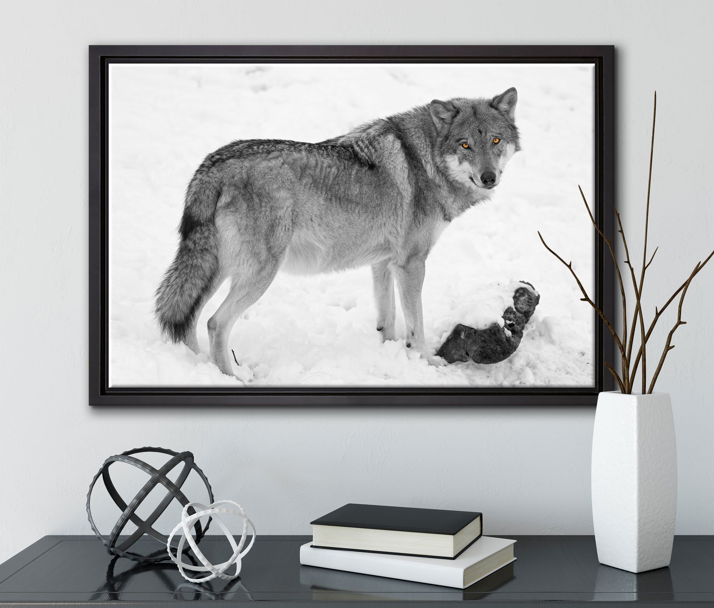 fertig einem Wolf prächtiger Leinwandbild St), Leinwandbild Zackenaufhänger gefasst, bespannt, Wanddekoration in Schattenfugen-Bilderrahmen Pixxprint Schnee, inkl. (1 im