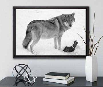 Pixxprint Leinwandbild prächtiger Wolf im Schnee, Wanddekoration (1 St), Leinwandbild fertig bespannt, in einem Schattenfugen-Bilderrahmen gefasst, inkl. Zackenaufhänger