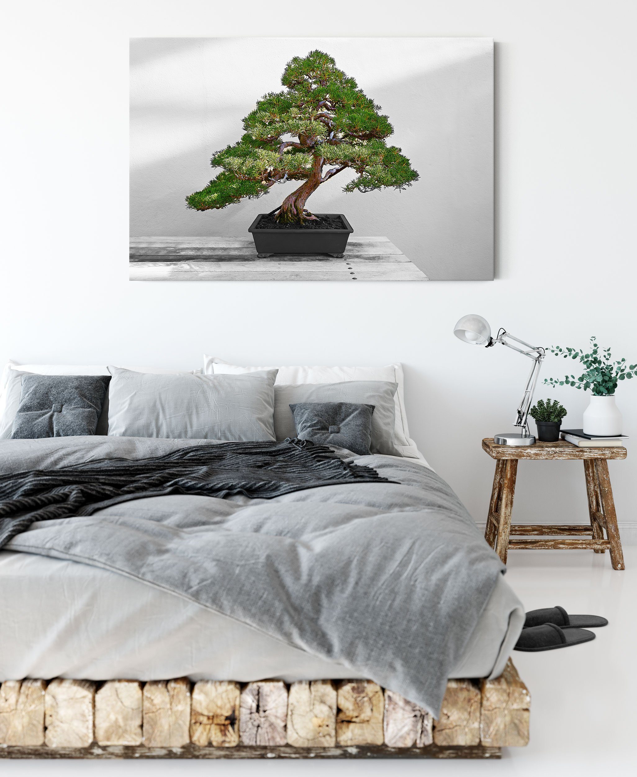 Leinwandbild Bonsai Zackenaufhänger Baum, fertig Pixxprint Baum Leinwandbild inkl. Bonsai bespannt, (1 St),