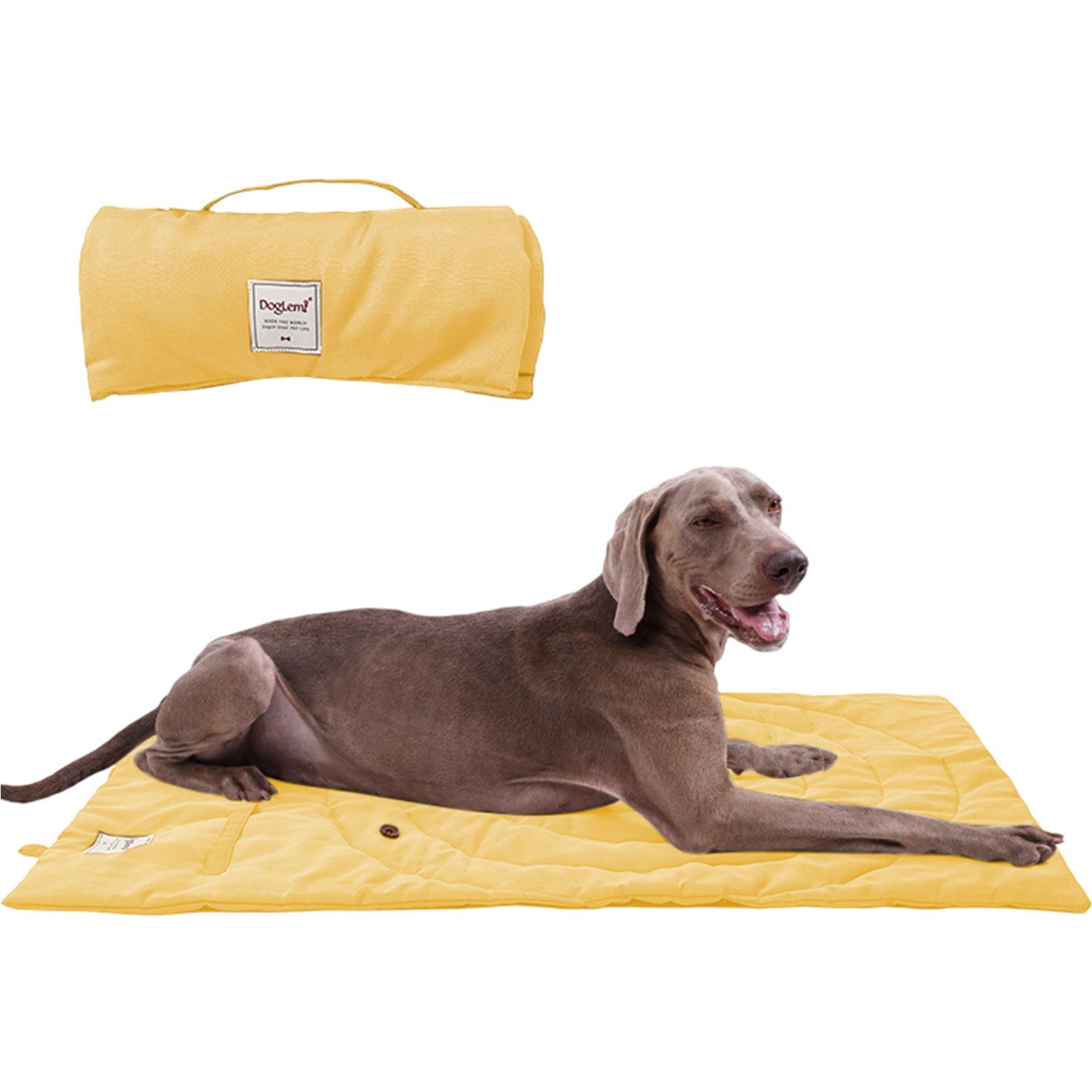 Refttenw Tierdecke Faltbare wasserdichte Haustier Decke,Hundedecke für Unterwegs,95x 65cm