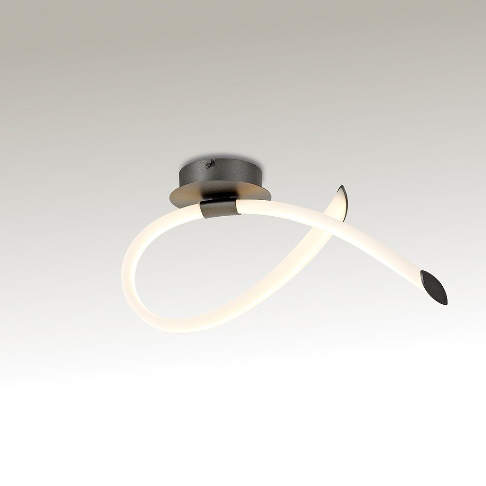 Mantra Wandleuchte LED-Wandleuchte Weiß.Titan Armonia Schleife Weiß/Titan