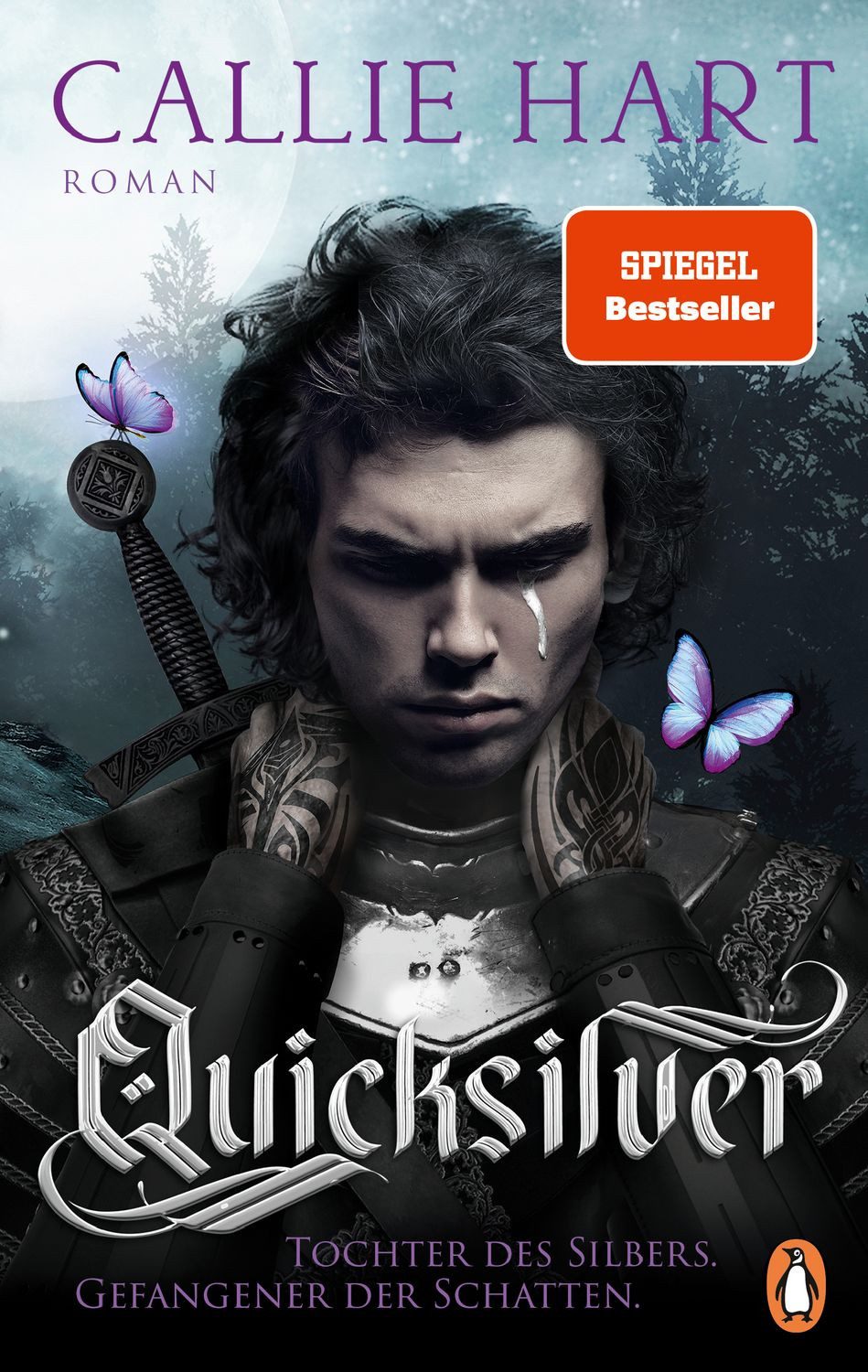 Quicksilver - Tochter des Silbers. Gefangener der Schatten / Callie Hart