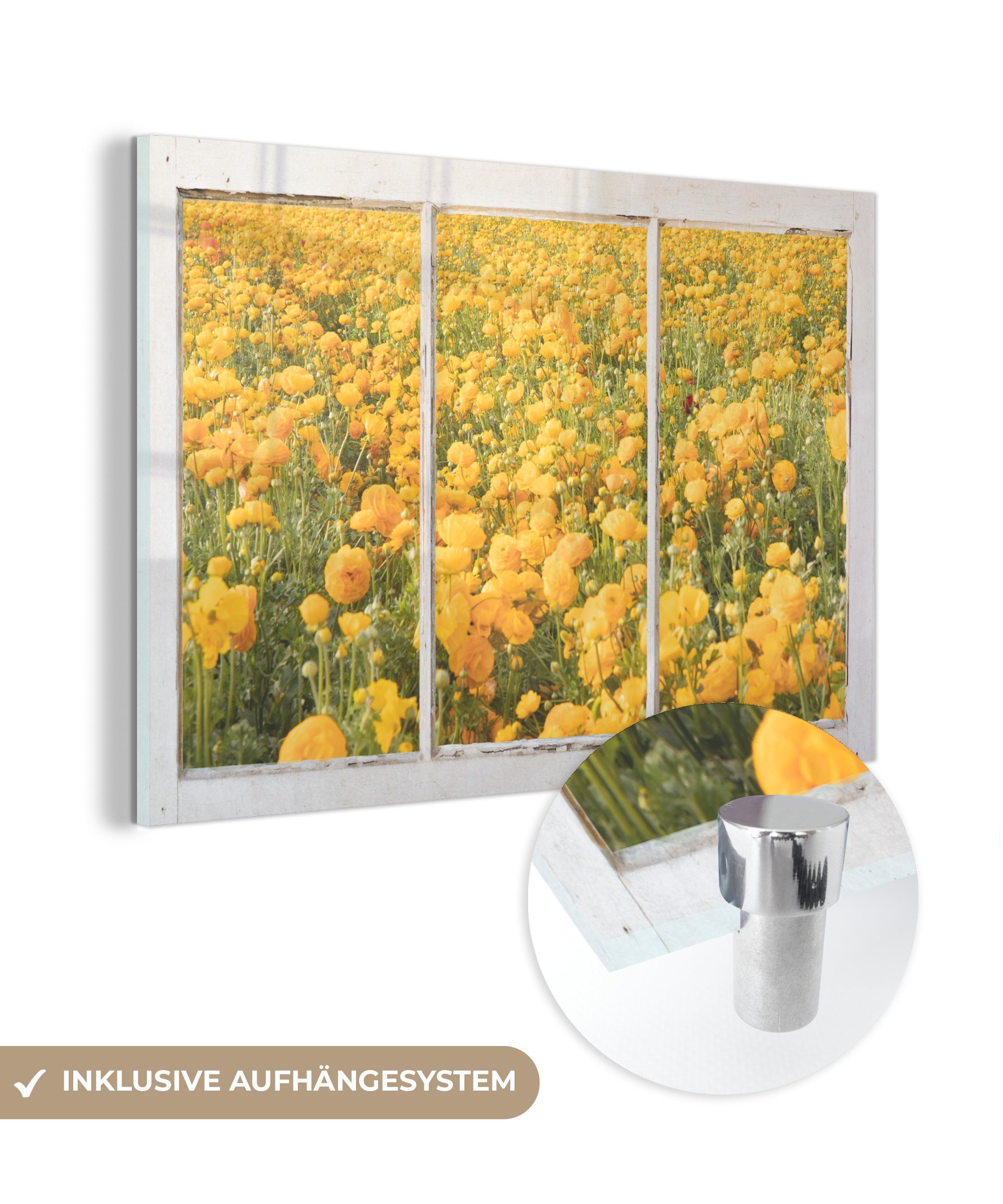 MuchoWow Acrylglasbild Durchsichtig - Blumen - Gelb, (1 St), Glasbilder - Bilder auf Glas Wandbild - Foto auf Glas - Wanddekoration