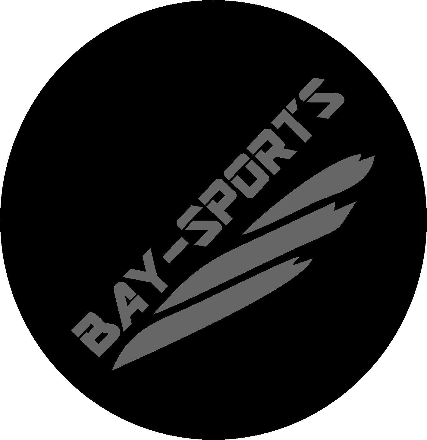 BAY-Sports Boxsack Tellerpratzen Multi Funk Rund Handpratzen Schlagplolster Schlagkissen (Kinder und Erwachsene, 1 Paar), Krav Maga Karate Taekwondo Kickboxen Kampfsport