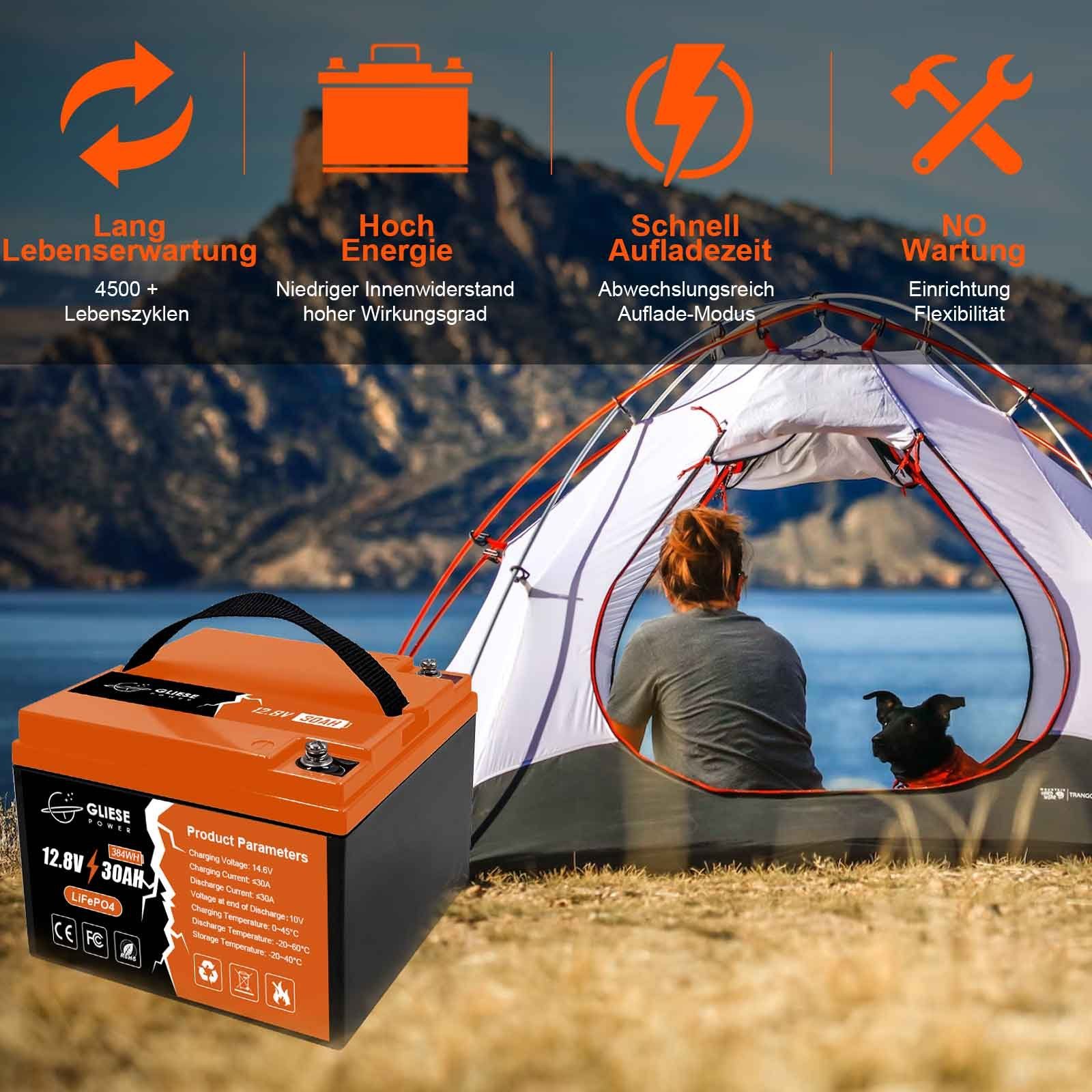 Bleiakkus LiFePO4 30Ah Battery Batterie Extremzyklenfest Akku Lithium GLIESE 12V AKKU Solar 30000 mAh,