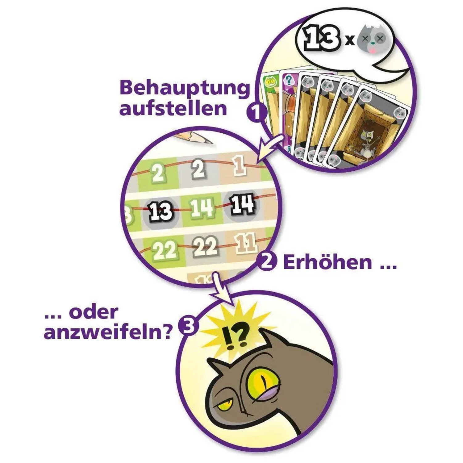 AMIGO Spiel Schrödingers Katzen