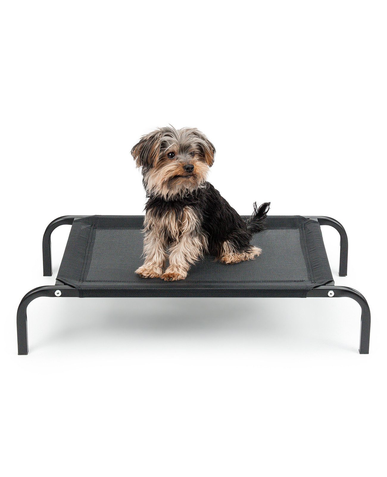 lionto Hundebett erhöht, Outdoor Hundeliege, Mesh-Material, bequem, luftig & wetterfest