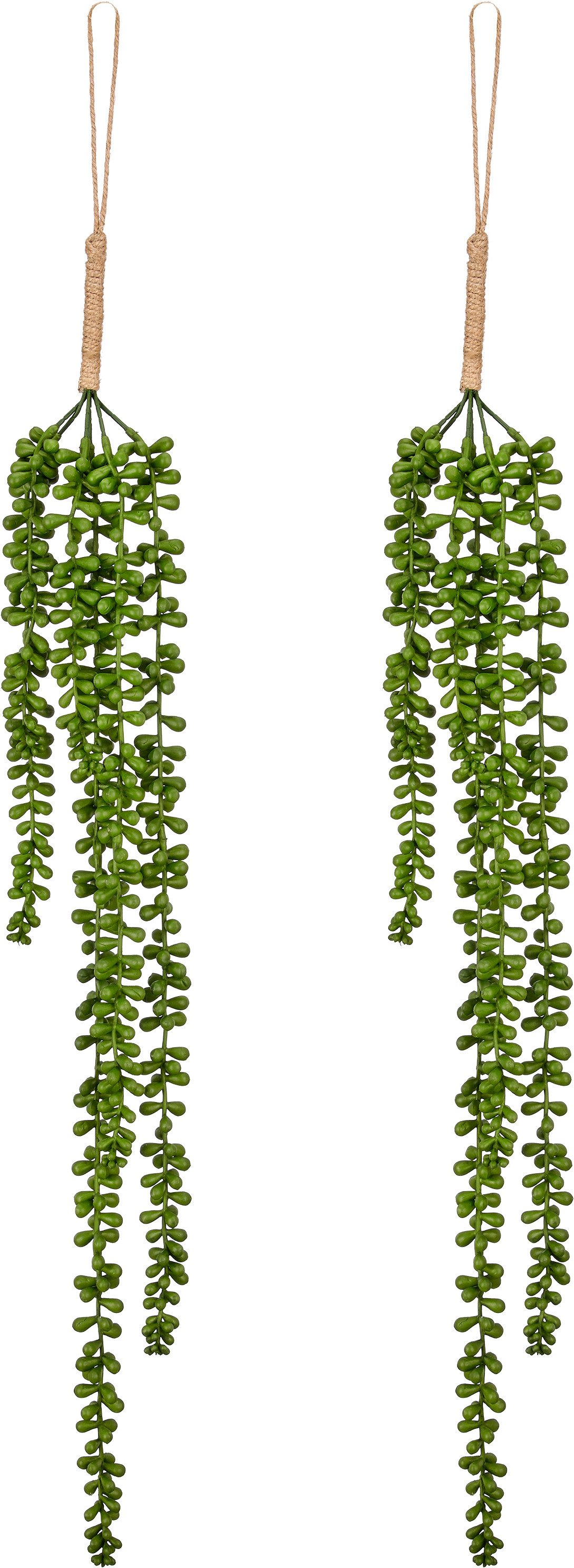 Kunstranke Seneciohänger, Creativ green, Höhe 69 cm, in natürlicher Optik