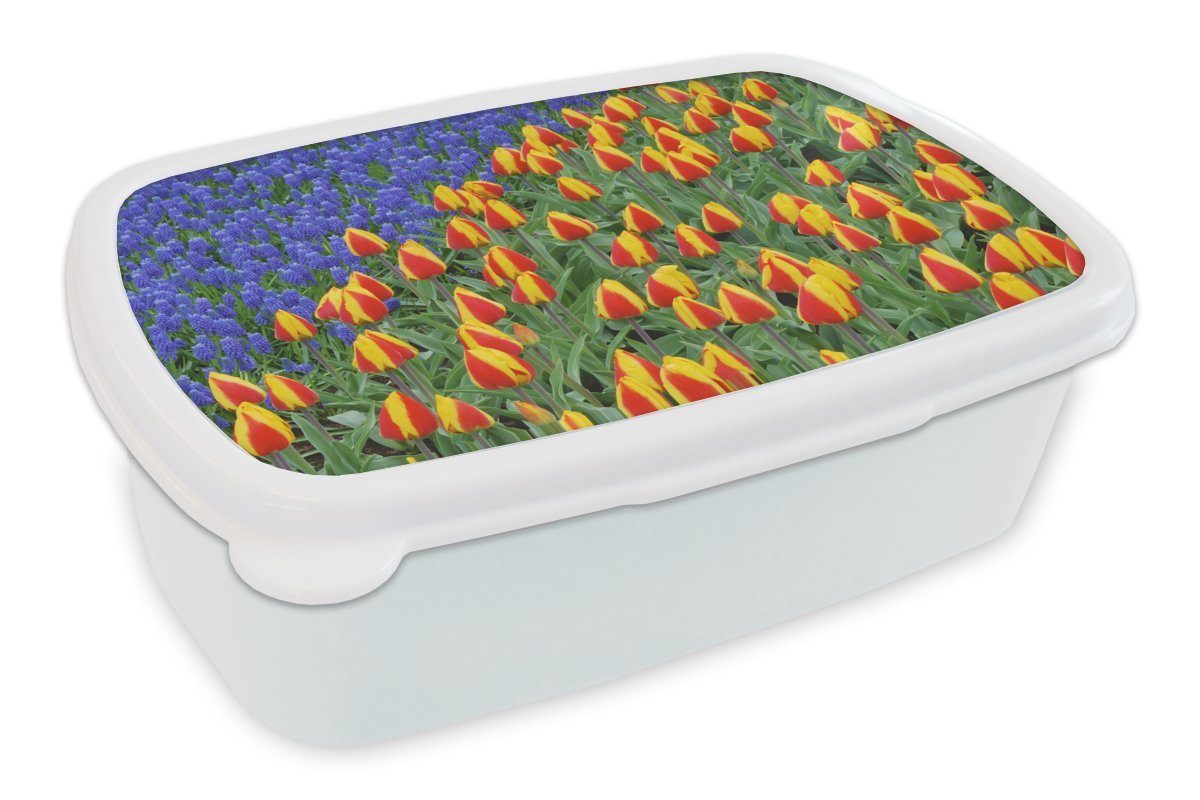 MuchoWow Lunchbox Tulpen und Traubenhyazinthen auf dem Keukenhof in den Niederlanden, Kunststoff, (2-tlg), Brotbox für Kinder und Erwachsene, Brotdose, für Jungs und Mädchen weiß