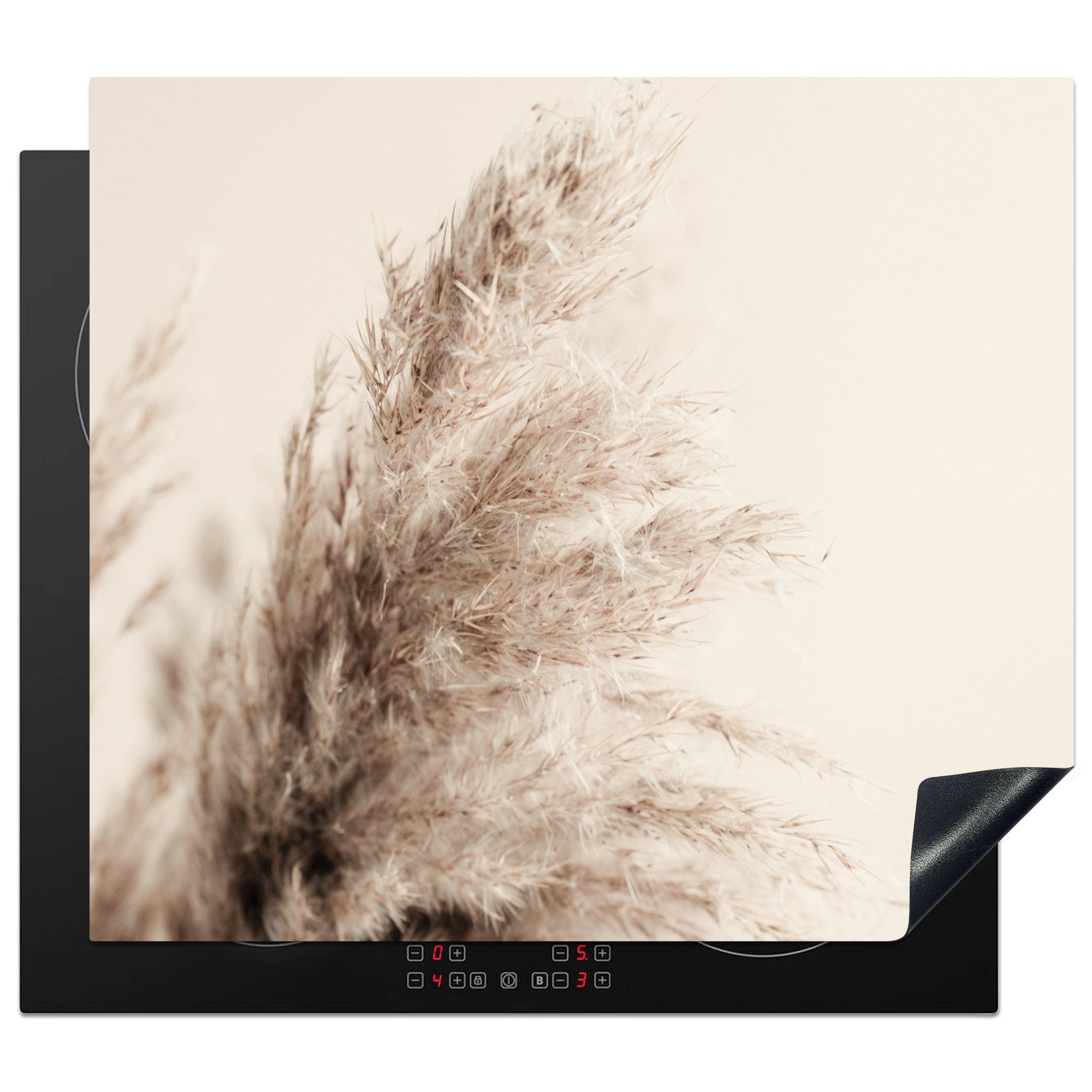 MuchoWow Herdblende-/Abdeckplatte Pflanzen - Pampaswedel - Pampasgras - Beige - Natur, Vinyl, (1 tlg), 60x52 cm, Mobile Arbeitsfläche nutzbar, Ceranfeldabdeckung