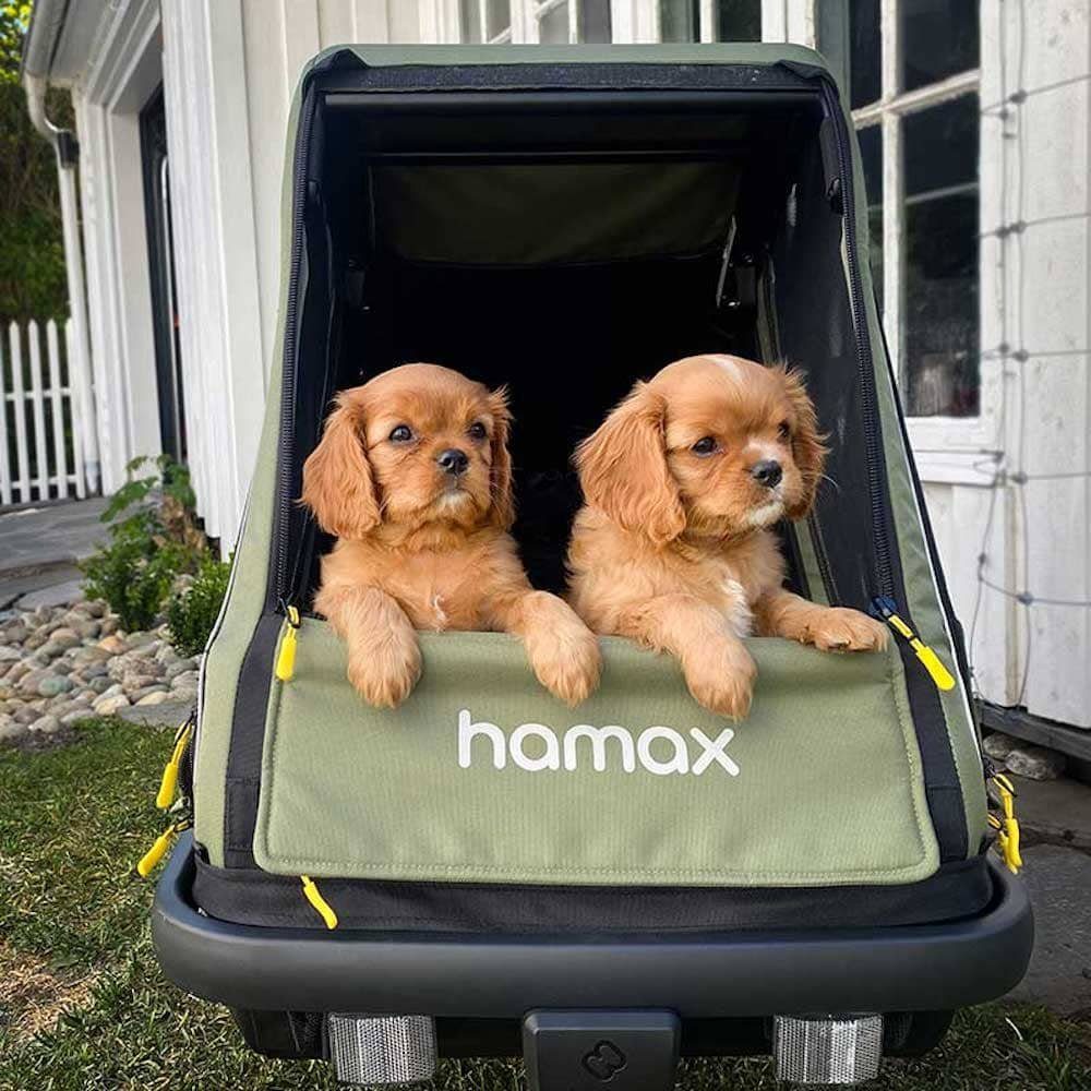 Hamax Fahrradhundeanhänger Pluto M (bis 35 kg Zuladung)