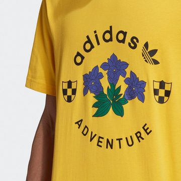 adidas Originals T-Shirt ADV Graphic Tee - Bold Gold