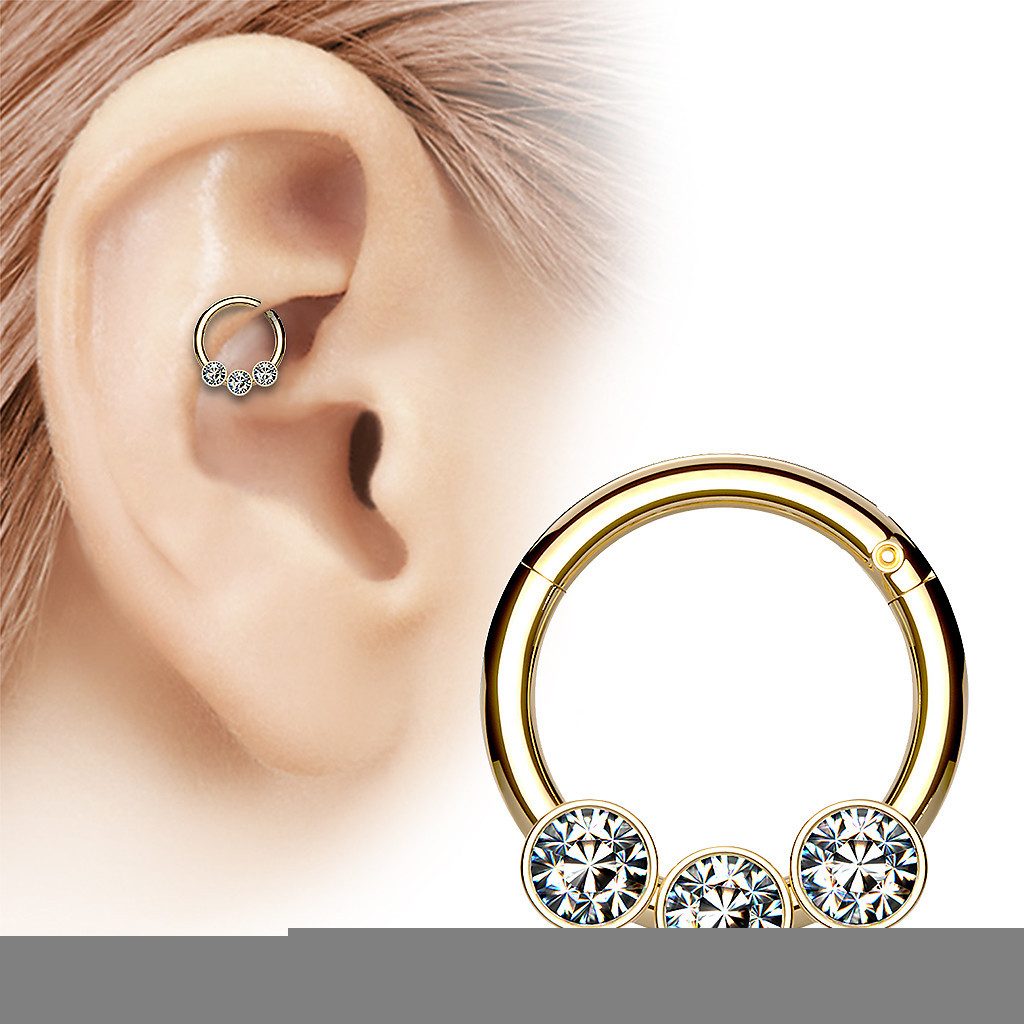 Taffstyle Nasenpiercing Septum Piercing Scharnier Ring günstig online kaufen