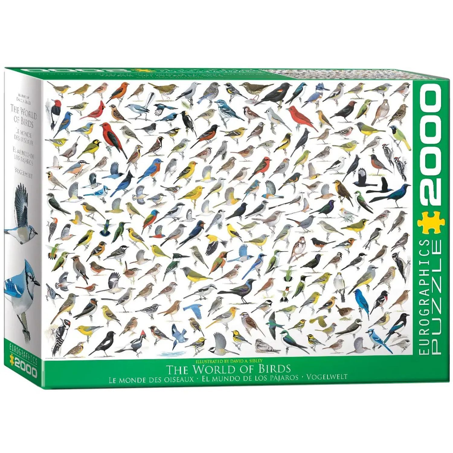 EUROGRAPHICS Spiel The World of Birds