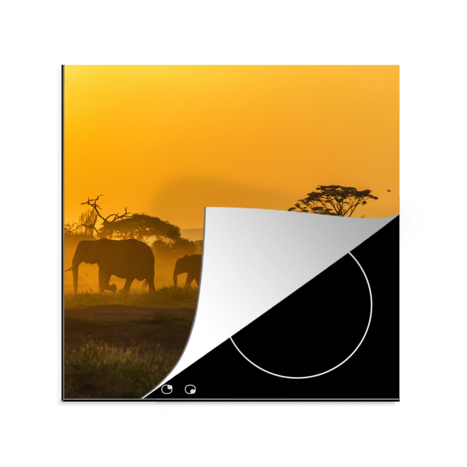 Ceranfeldabdeckung, 78x78 (1 - cm, Orange, Arbeitsplatte - für MuchoWow Herdblende-/Abdeckplatte Elefant Vinyl, Tier küche tlg),