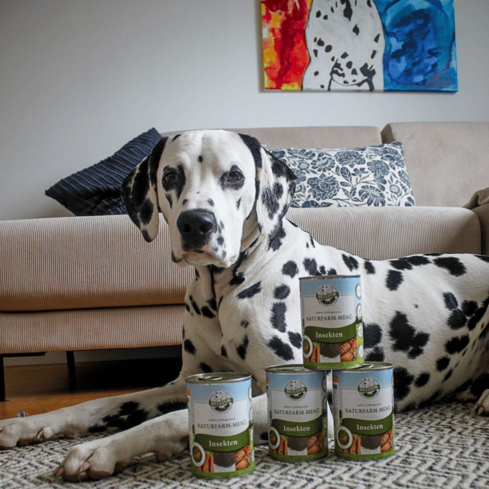 Bellfor Bellfor Nassfutter mit Insekten und Tapioka - Naturfarm-Menü - 800g, für: Hunde