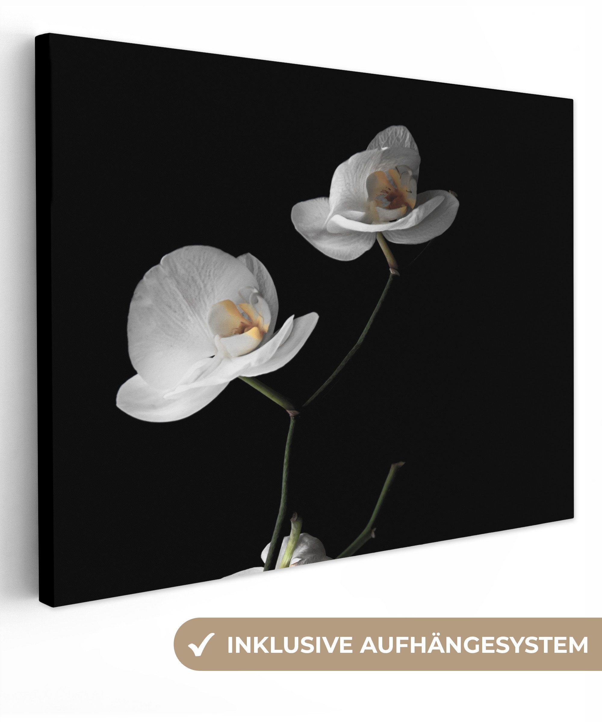 OneMillionCanvasses® Leinwandbild Orchidee - Blumen - Schwarz - Weiß - Stilleben, Fotodruck (1 St), Wandbild Leinwandbilder, Aufhängefertig, Wanddeko 40x30 cm