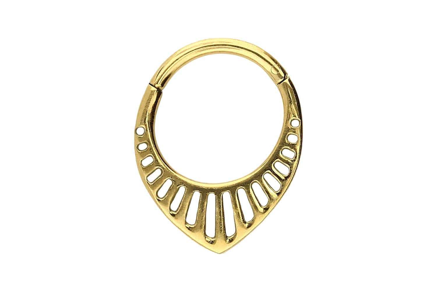 Piercing-Set Chirurgenstahl Segmentring Clicker DESIGN