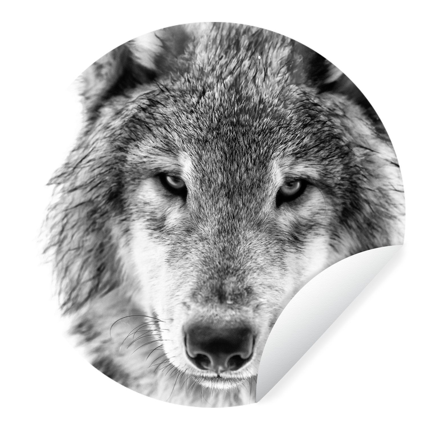 MuchoWow Wandsticker Wolf im Winter in Schwarz und Weiß (1 St), Tapetenkreis für Kinderzimmer, Tapetenaufkleber, Rund, Wohnzimmer
