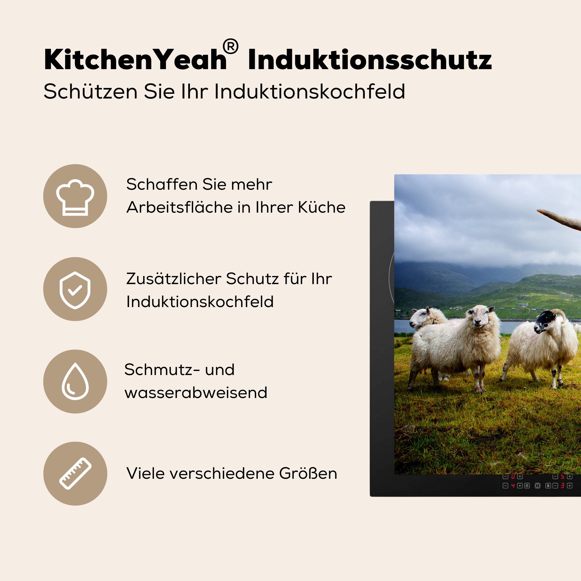 Schutz Highlander tlg), - - Herdblende-/Abdeckplatte für Induktionskochfeld Ceranfeldabdeckung Schottischer küche, Vinyl, 71x52 (1 cm, MuchoWow Schaf, die Leicht
