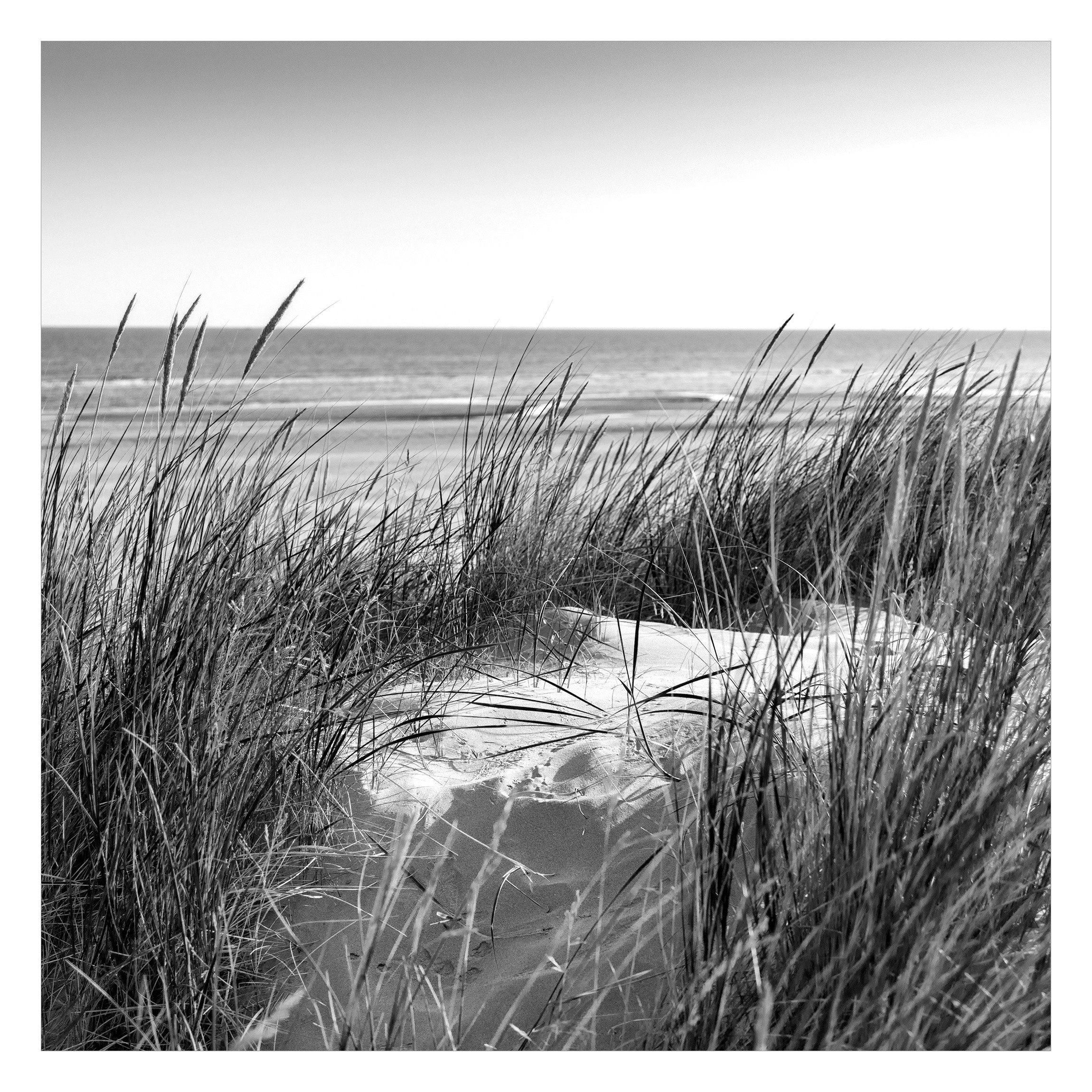 Bilderdepot24 Fototapete Strand & Meer Stranddüne Meer Schwarz-Weiß Natur Landschaft Maritim, Glatt, Matt, (Vliestapete inkl. Kleister oder selbstklebend), Wohnzimmer Schlafzimmer Küche Flur Motivtapete Vliestapete Wandtapete