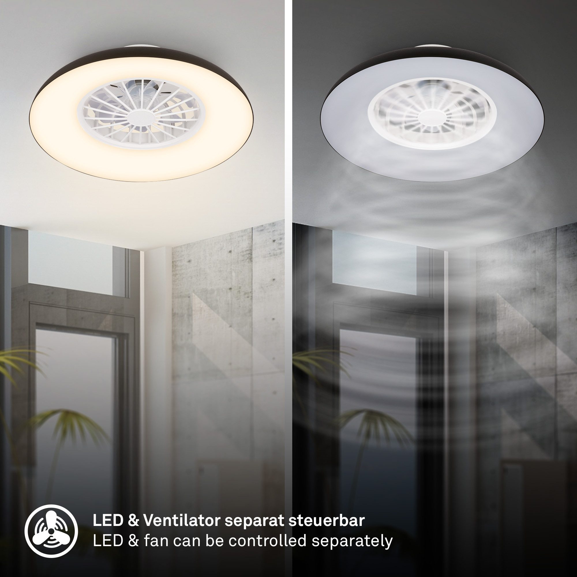 Briloner Leuchten LED Deckenleuchte Deckenventilator mit Licht DC-Motor Fernbedienung Dimmbar, LED fest integriert, CCT Farbtemperatursteuerung - Warm-/Neutral-/Kaltweiß, 60 x 19 cm (DxH), Schlafzimmer, Wohnzimmer, Esszimmer, Flur, Küche