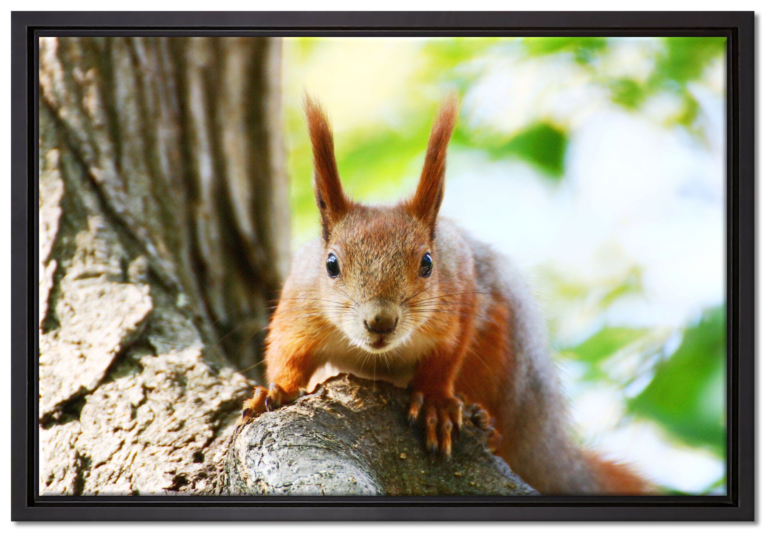 Pixxprint Leinwandbild Eichhörnchen auf dem Baum, Wanddekoration (1 St), Leinwandbild fertig bespannt, in einem Schattenfugen-Bilderrahmen gefasst, inkl. Zackenaufhänger