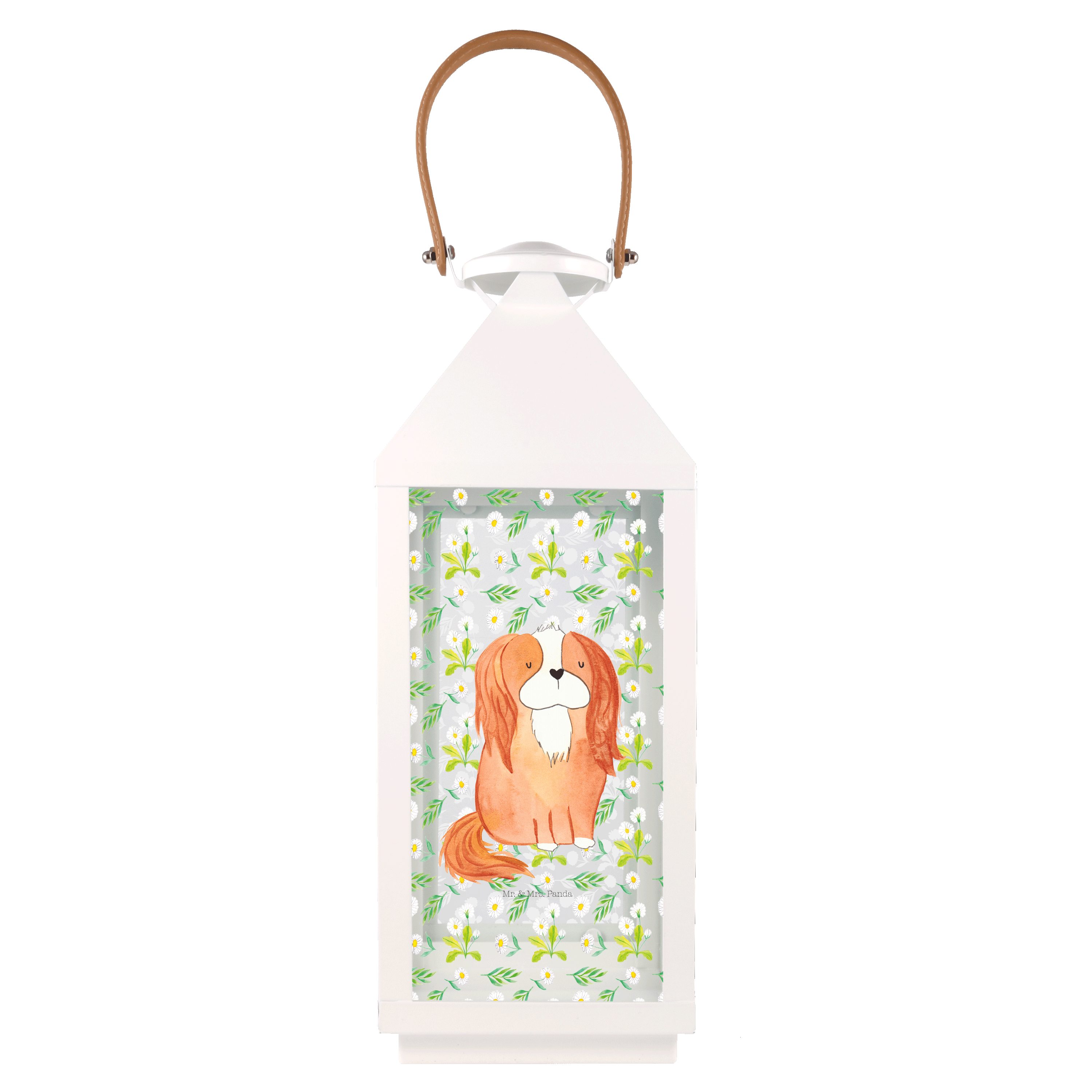 Mr. & Mrs. Panda Gartenleuchte Hund Cavalier King Charles Spaniel, Kerzenlaterne L, Transparent, Spa