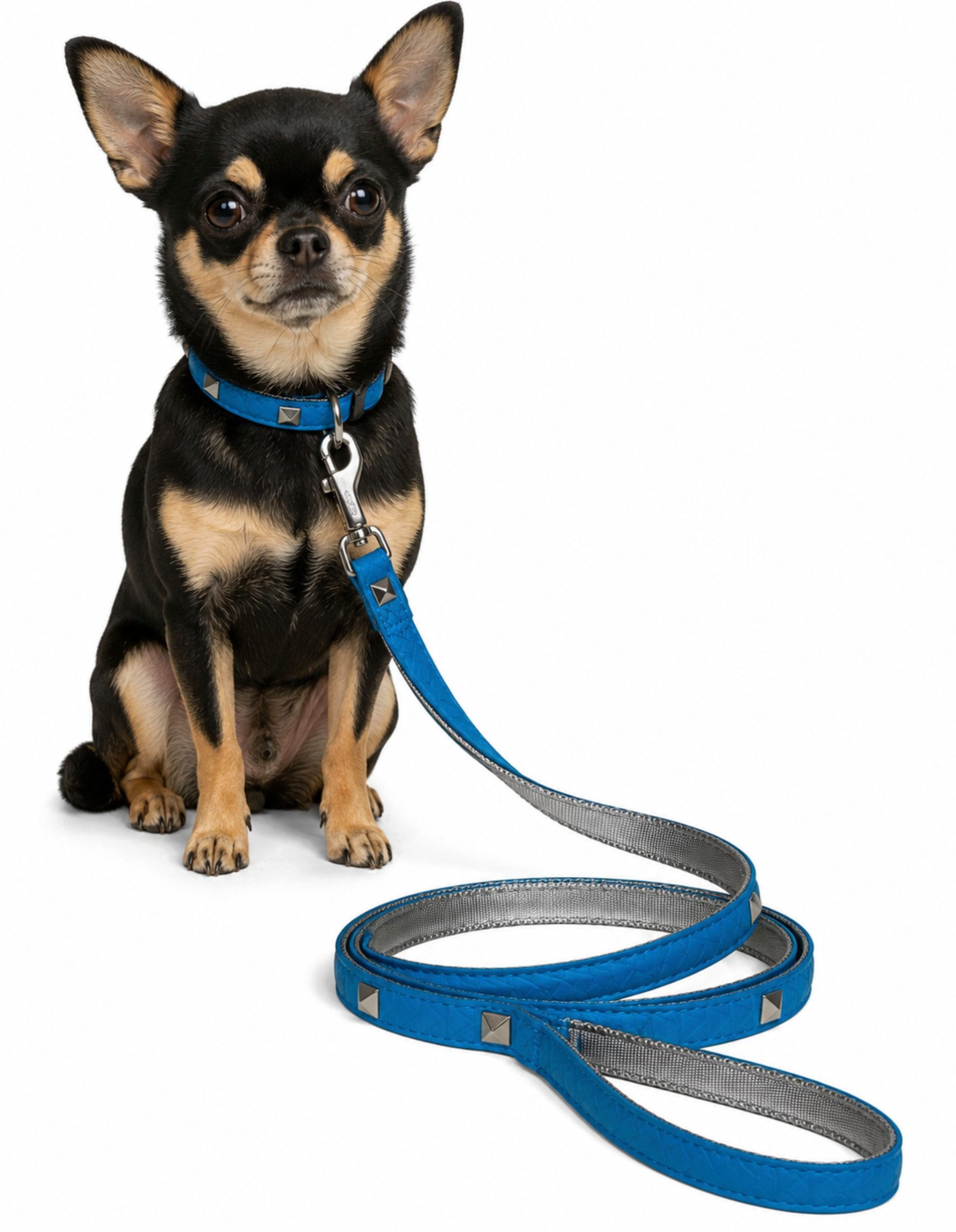 KARL LAGERFELD Hundeleine Petcare Leine mit Nieten Führleine Laufleine Hund Sammlerstück, Metallkarabiner mit eingraviertem KARL-Schriftzug