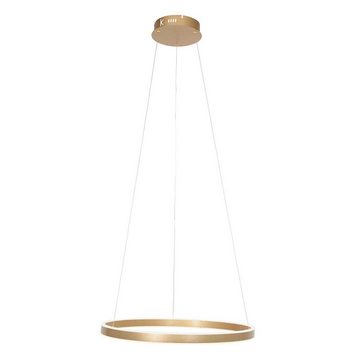 Steinhauer LIGHTING Hängeleuchte, Hängelampe Pendelleuchte Esszimmerlampe LED dimmbar gold Ring-Design