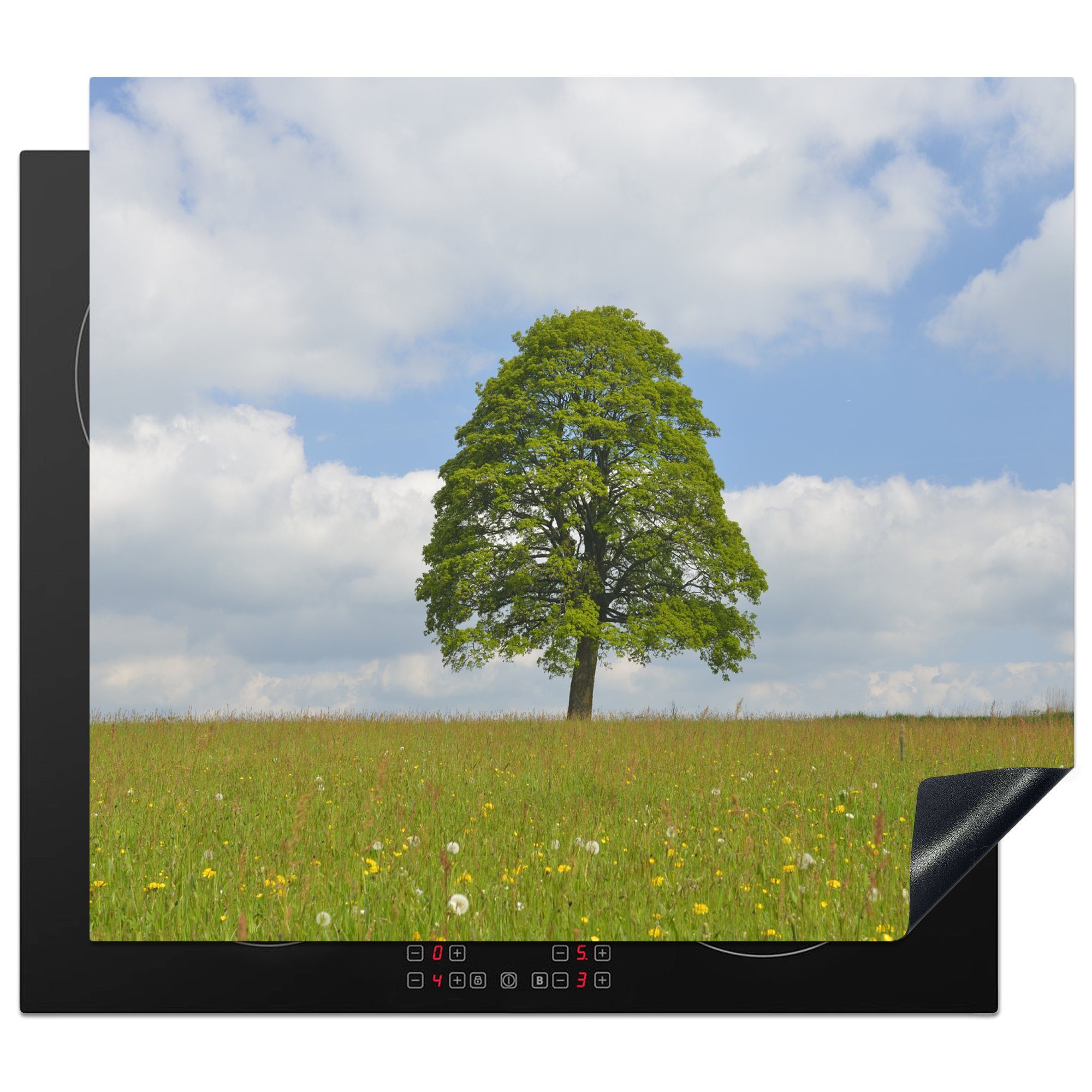 MuchoWow Herdblende-/Abdeckplatte Ein Ahornbaum in Deutschland im Frühling, Vinyl, (1 tlg), 59x52 cm, Ceranfeldabdeckung für die küche, Induktionsmatte