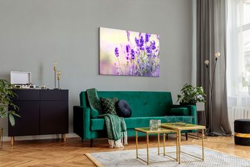 Sinus Art Leinwandbild 120x80cm Wandbild auf Leinwand Lavendel Blumen Sommer Sonnenschein Vio, (1 St)
