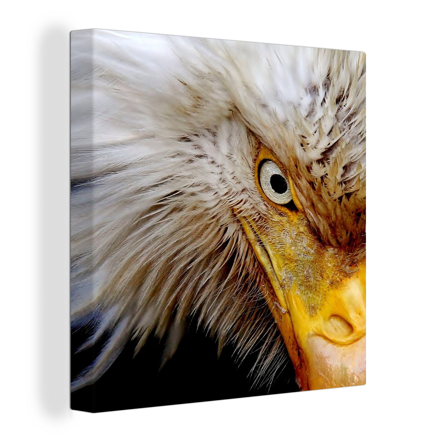 OneMillionCanvasses® Leinwandbild Vogel - Auge St), - Wohnzimmer Leinwand Schlafzimmer (1 für Schnabel, Bilder