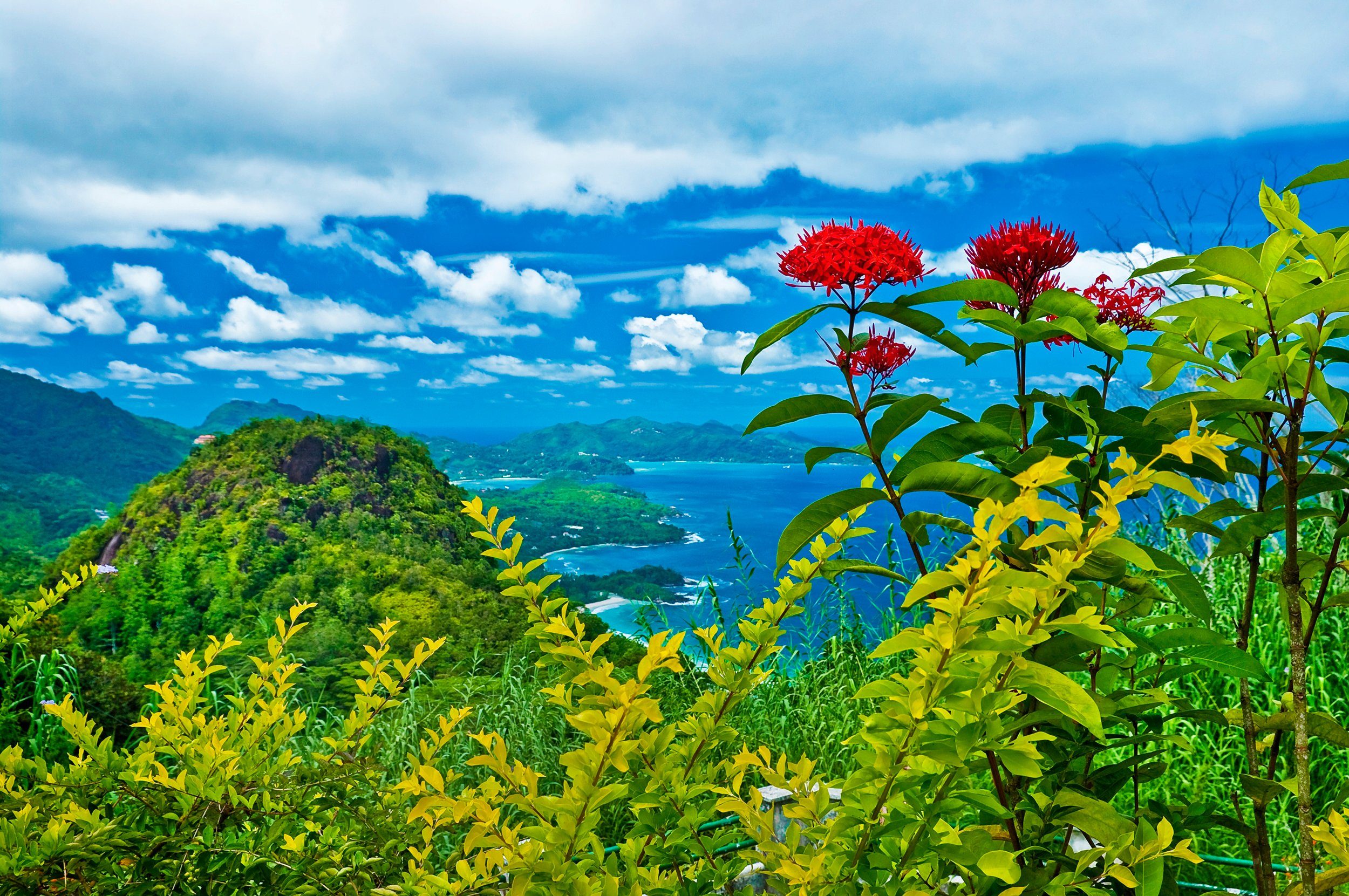 Papermoon Fototapete INSEL-SEYCHELLEN BLUMEN KÜSTE GEBIRGE MEER PANORAMA