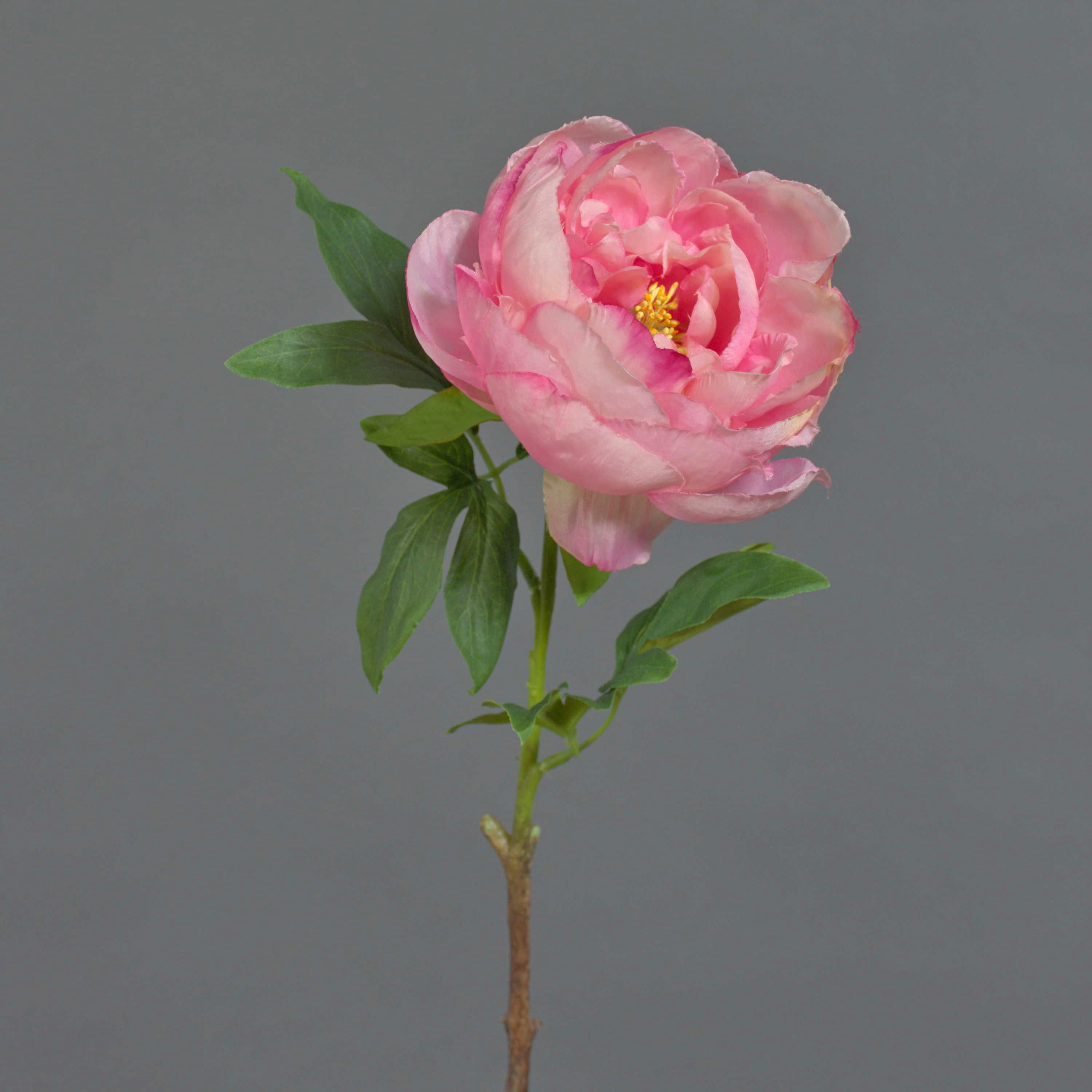 Kunstblume Künstliche Pfingstrose BARBRO, rosa-Creme, 65cm Pfingstrose, artplants, Höhe 65.0 cm