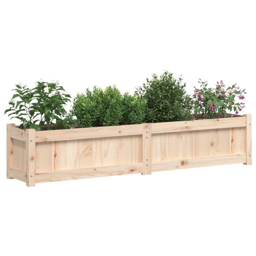 Kiefer vidaXL St) Massivholz (1 Pflanzkübel 150x31x31 cm Blumentopf