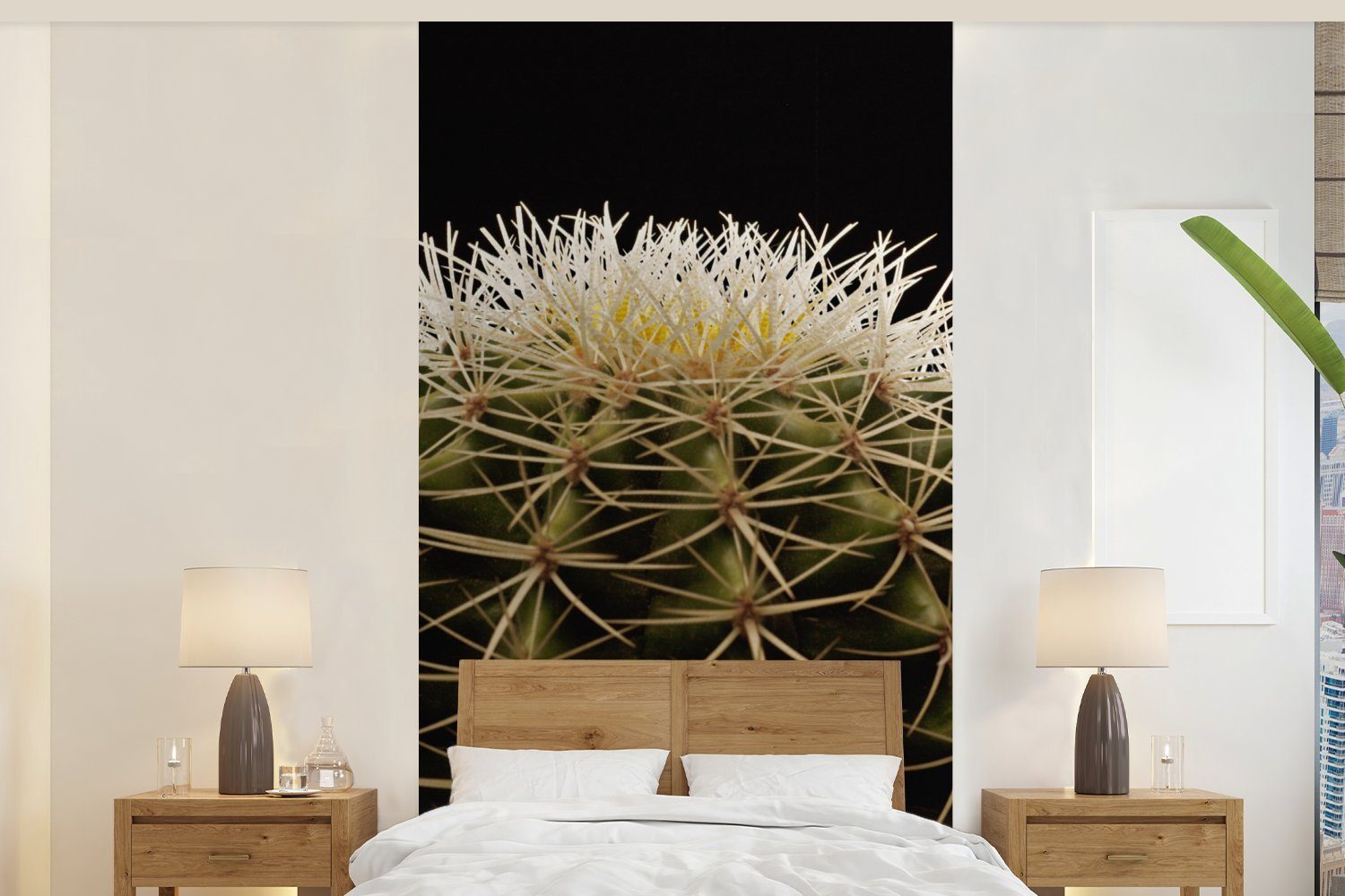 MuchoWow Fototapete Eine Nahaufnahme eines dornigen Kaktus auf schwarzem Hintergrund, Matt, bedruckt, (2 St), Vliestapete für Wohnzimmer Schlafzimmer Küche, Fototapete