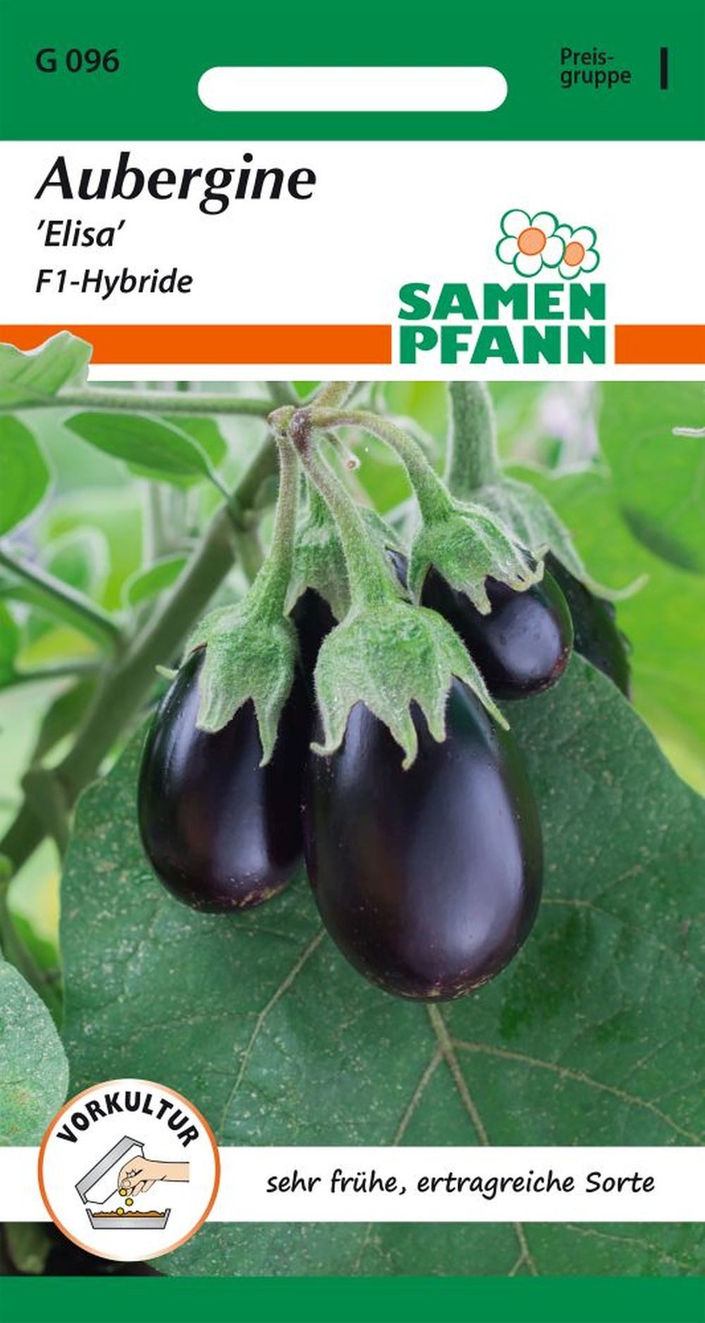 SAMEN PFANN Gemüsesamen Aubergine, Elisa – Saatgut Samen, Solanum melongena