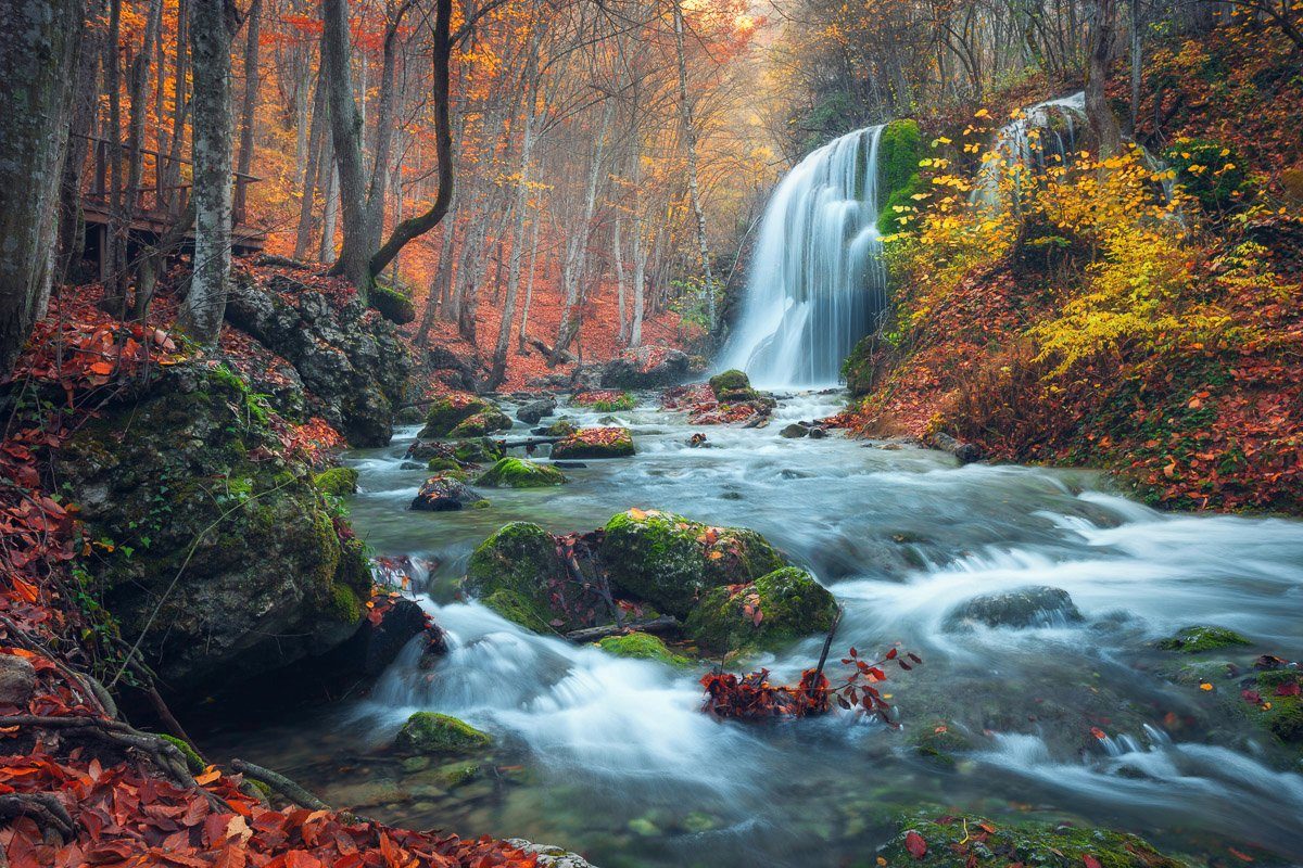 Papermoon Fototapete Wald im Wasserfall